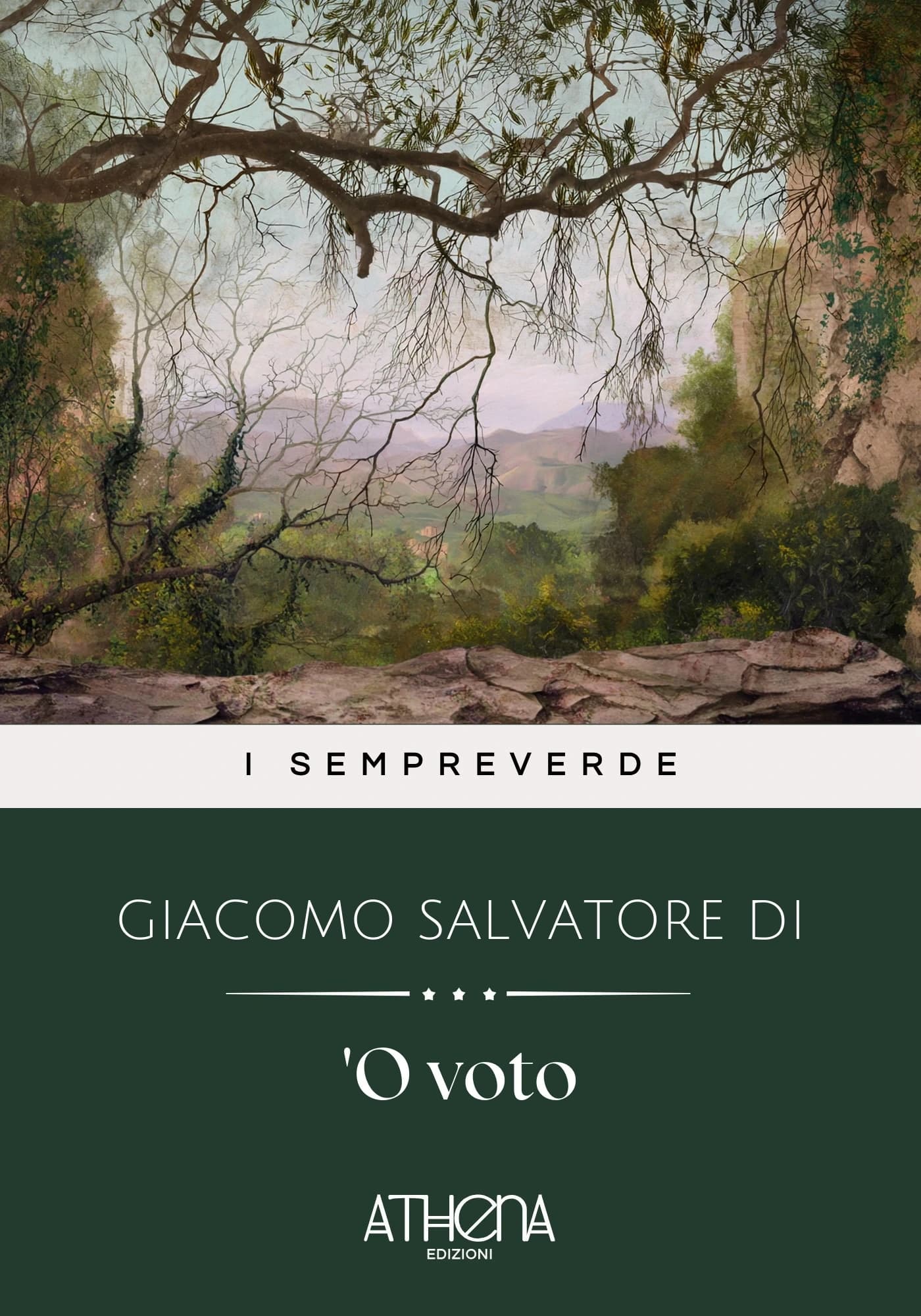 Copertina di 'O voto