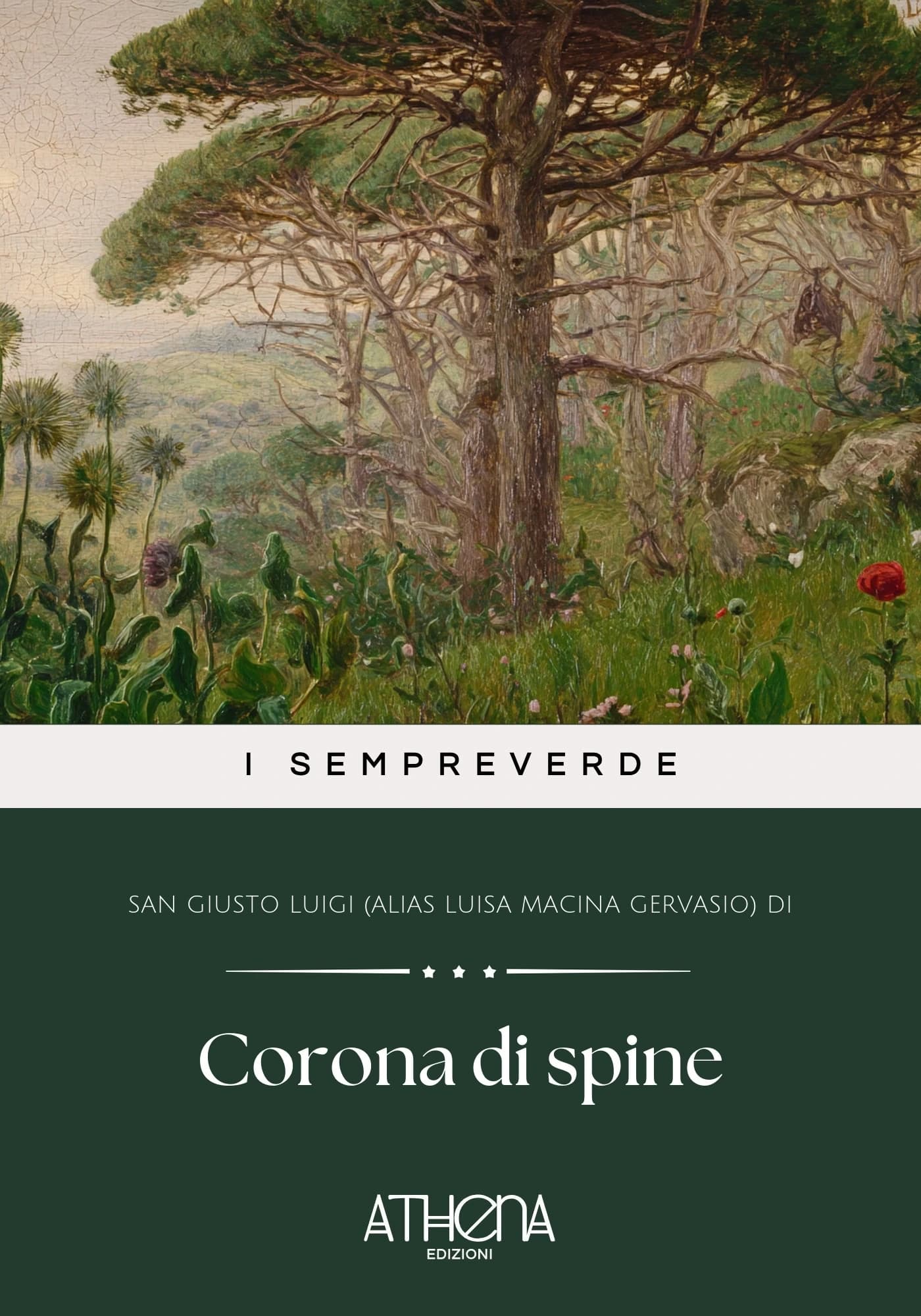 Copertina di Corona di spine