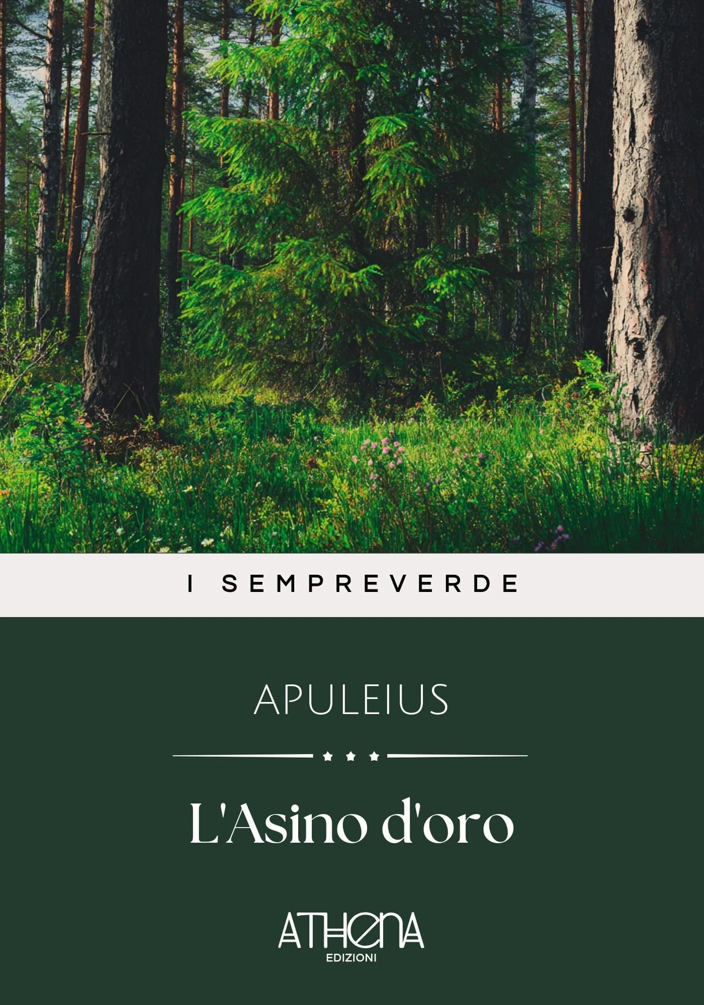 Copertina di L'Asino d'oro