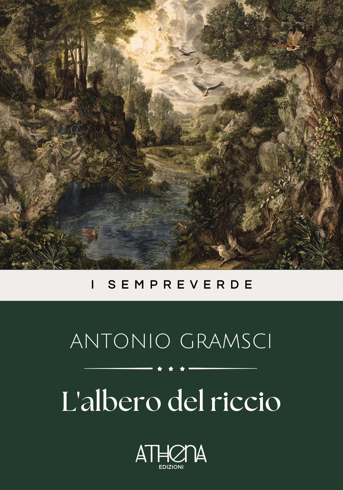 Copertina di L'albero del riccio