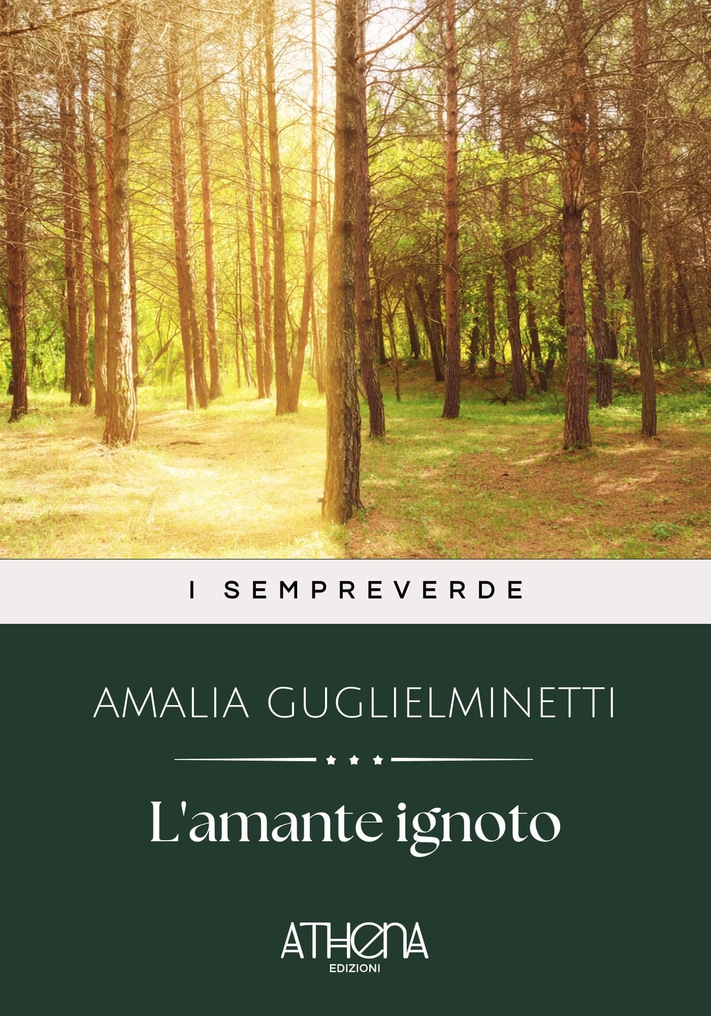 Copertina di L'amante ignoto
