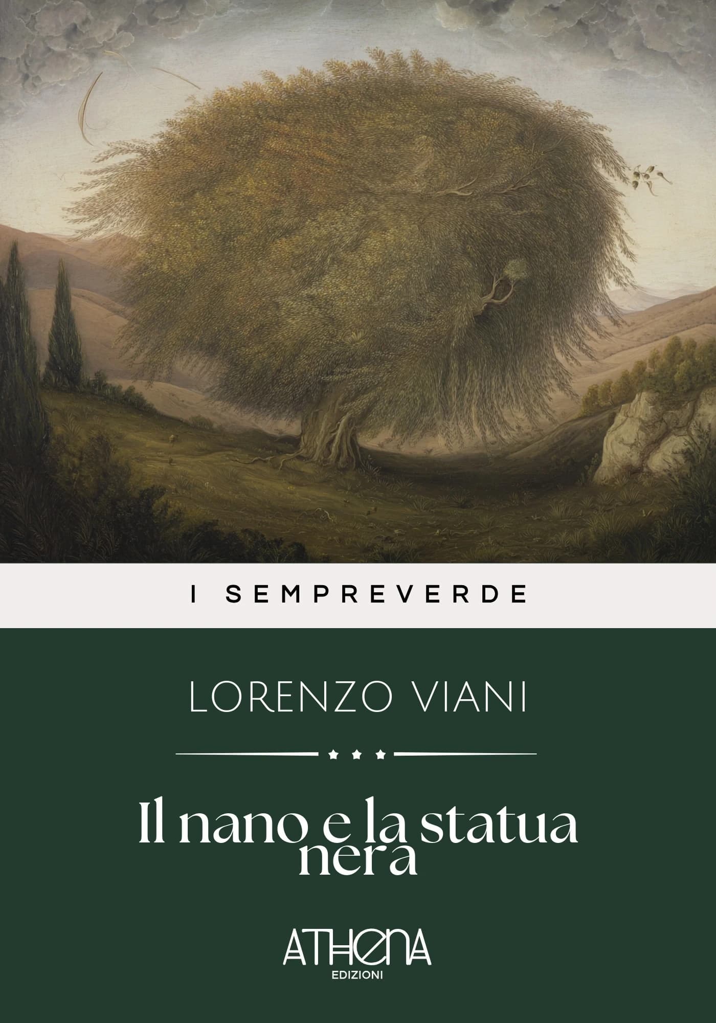Copertina di Il nano e la statua