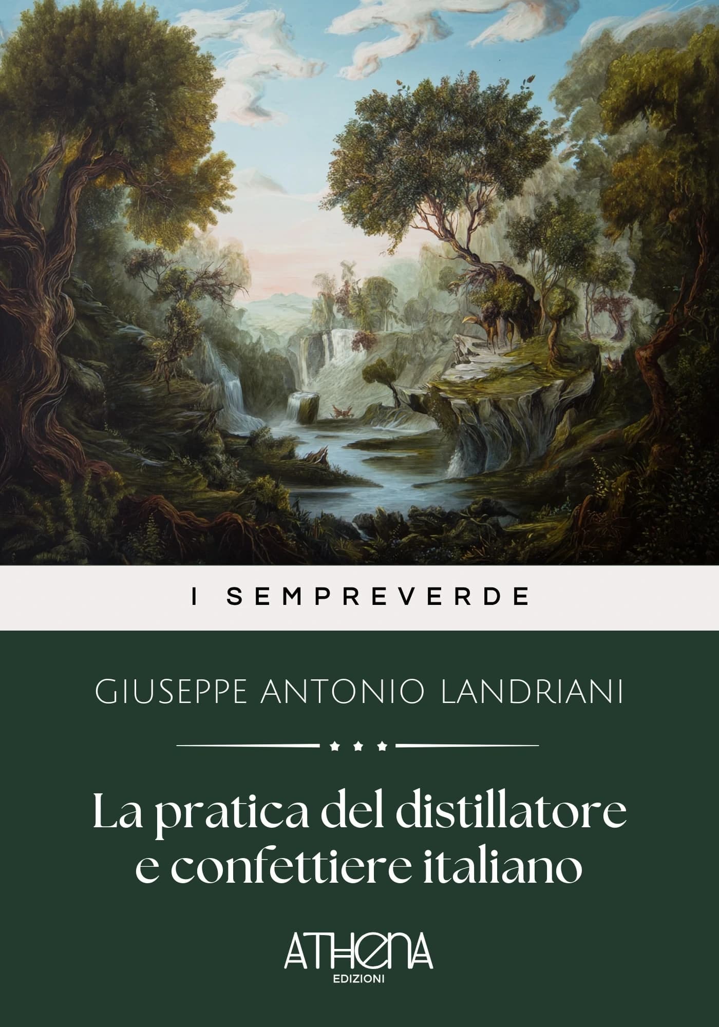 Copertina di La pratica del disti
