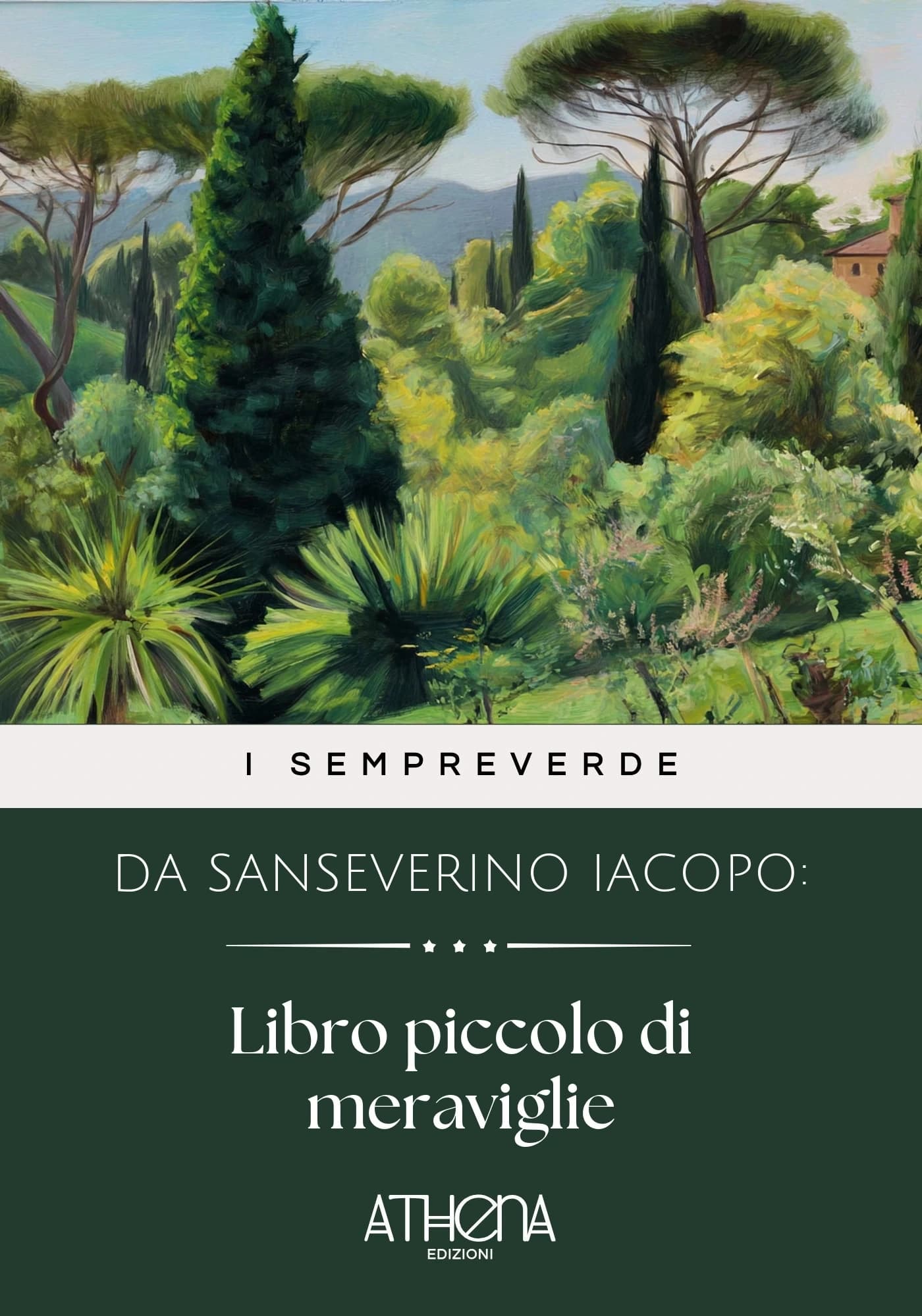 Copertina di da Sanseverino: Libro piccolo di mer