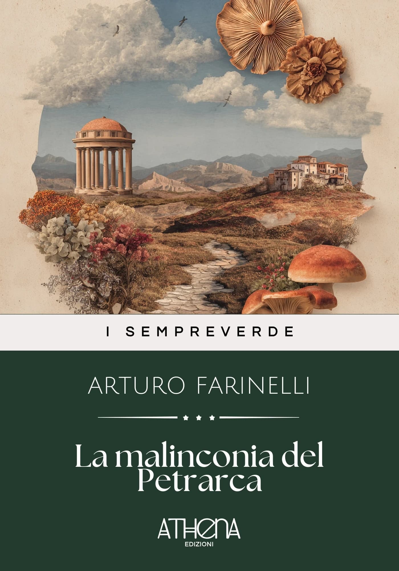 Copertina di La malinconia del Pe
