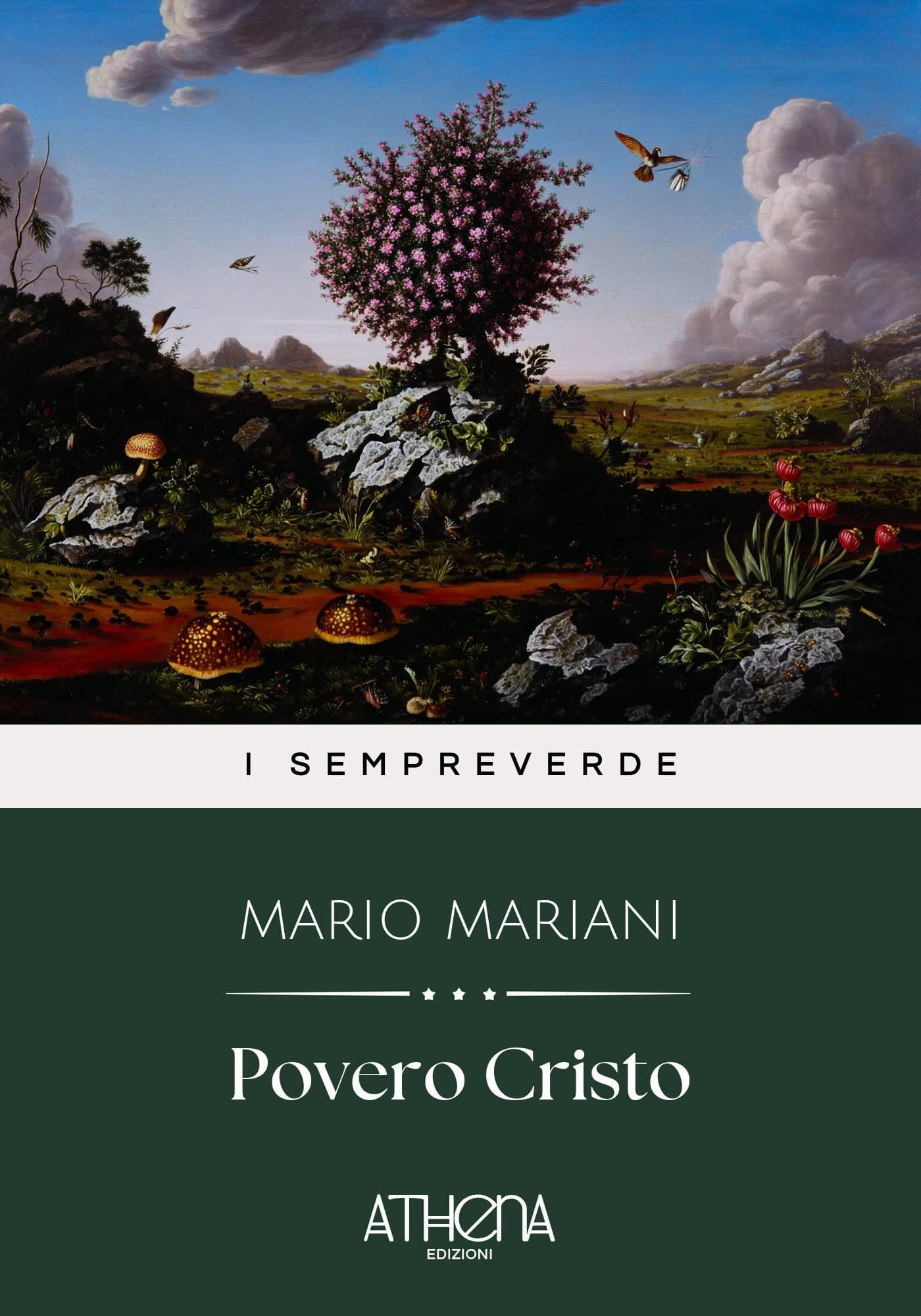 Copertina di Povero Cristo
