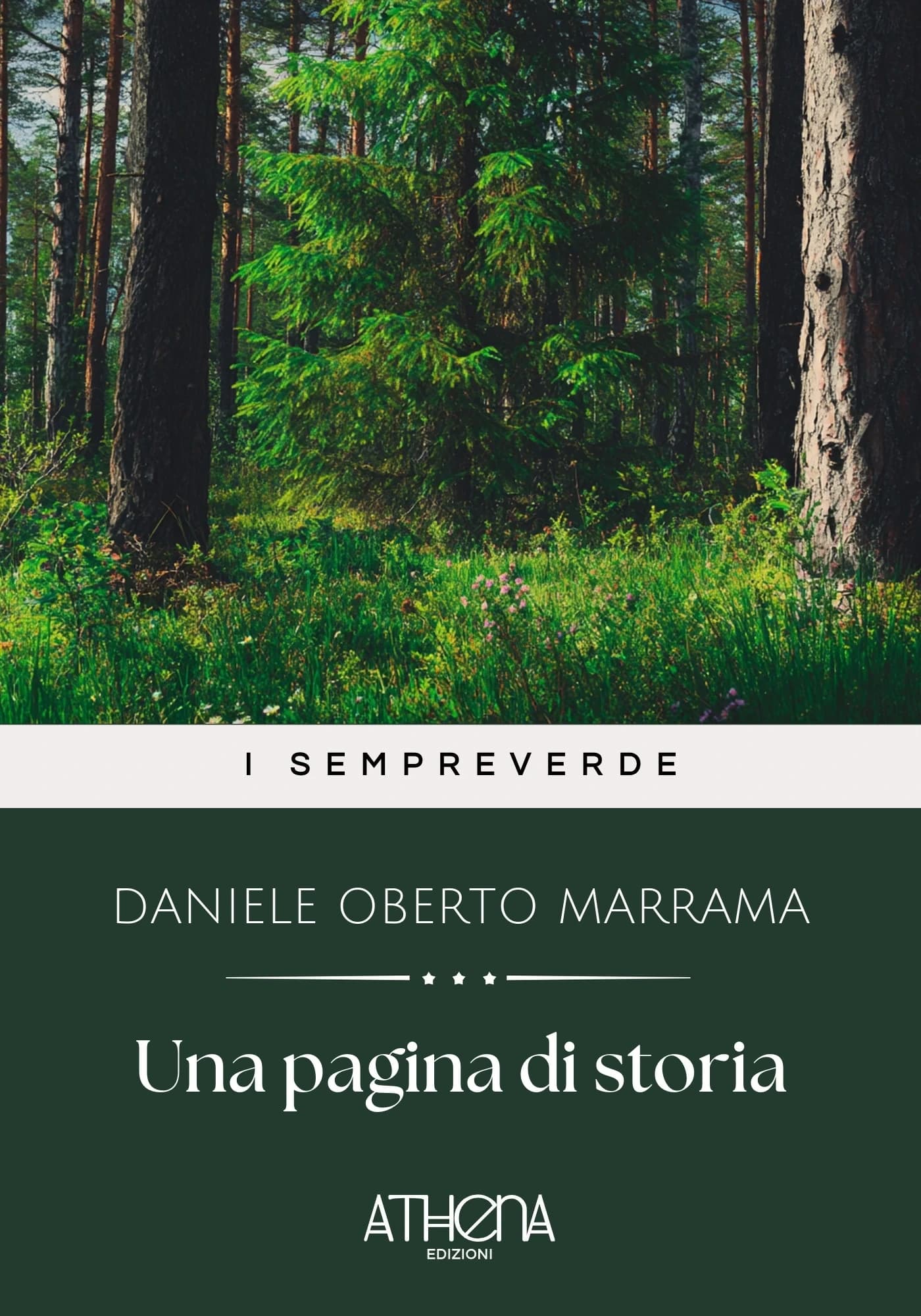 Copertina di Una pagina di storia