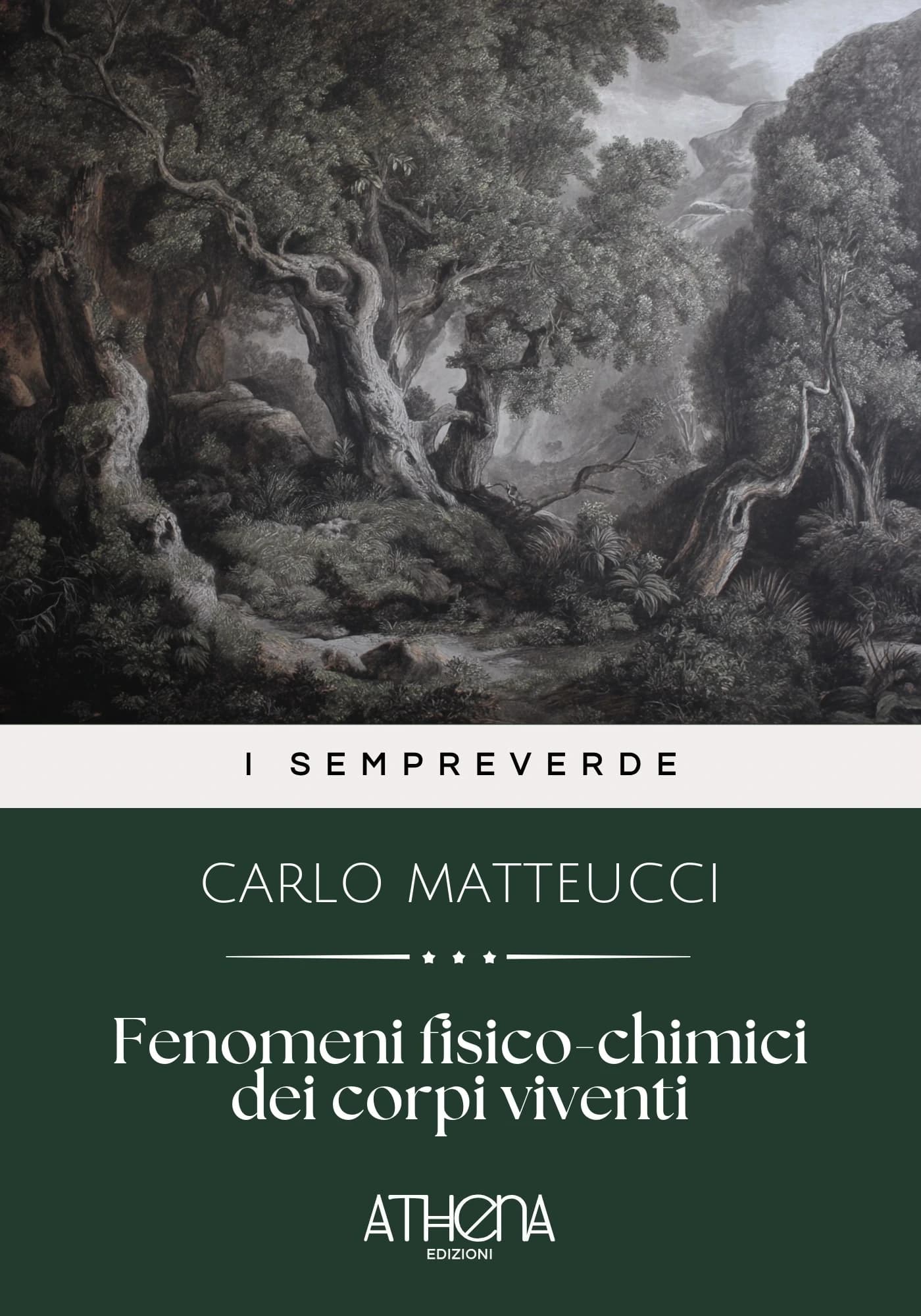 Copertina di Fenomeni fisico-chim