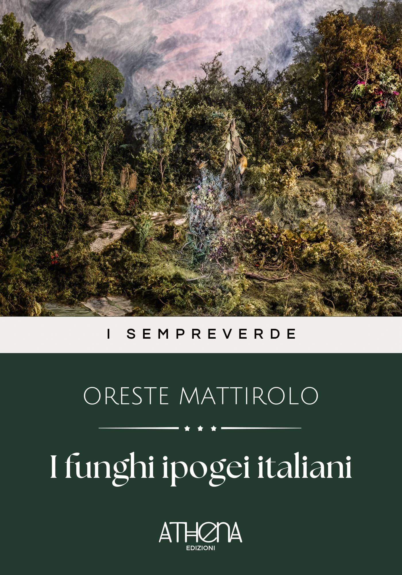 Copertina di I funghi ipogei ital