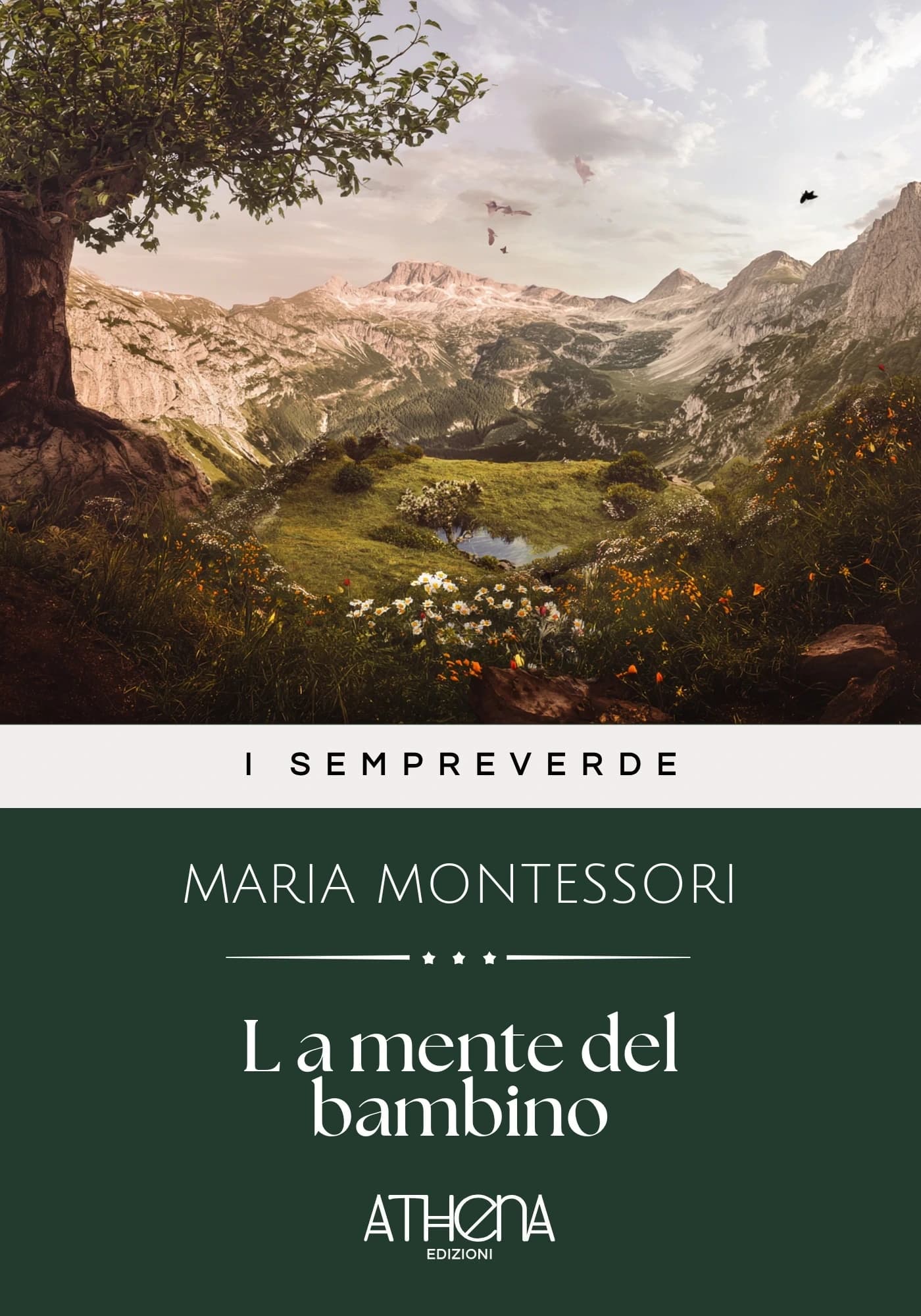 Copertina di L’a mente del bambin