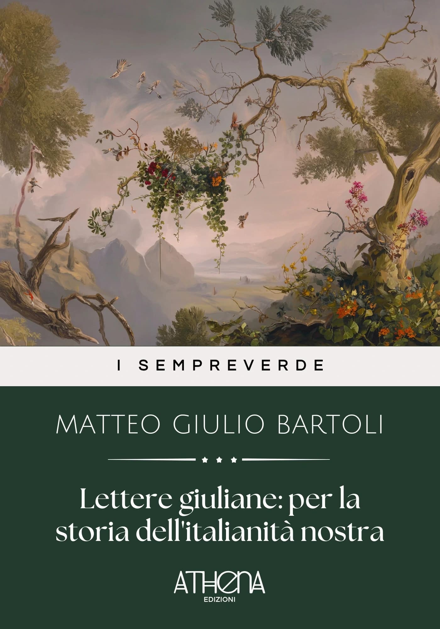 Copertina di Lettere giuliane pe