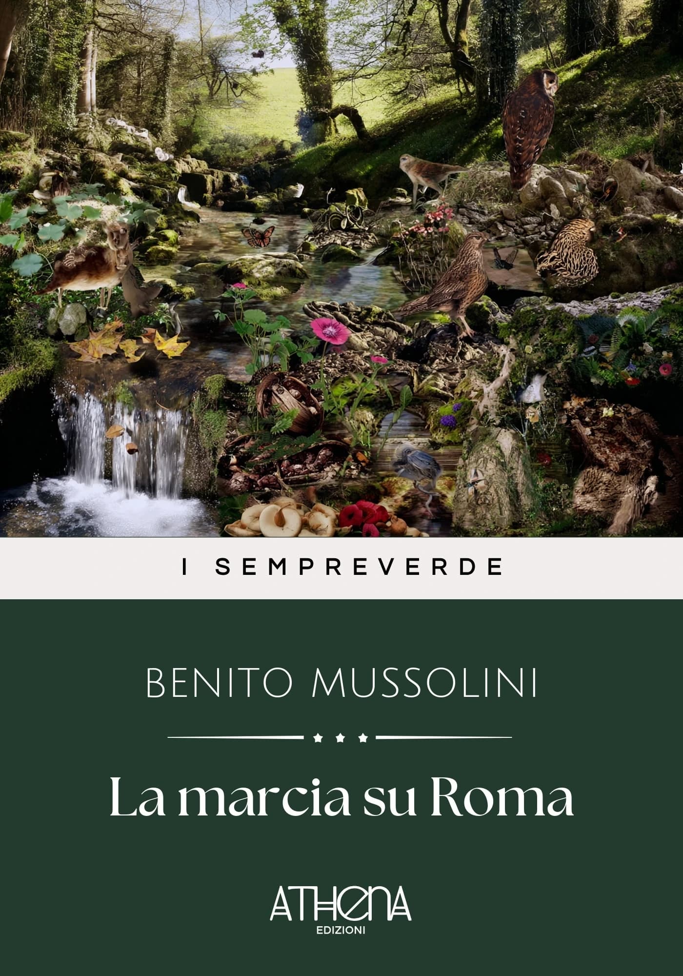Copertina di La marcia su Roma