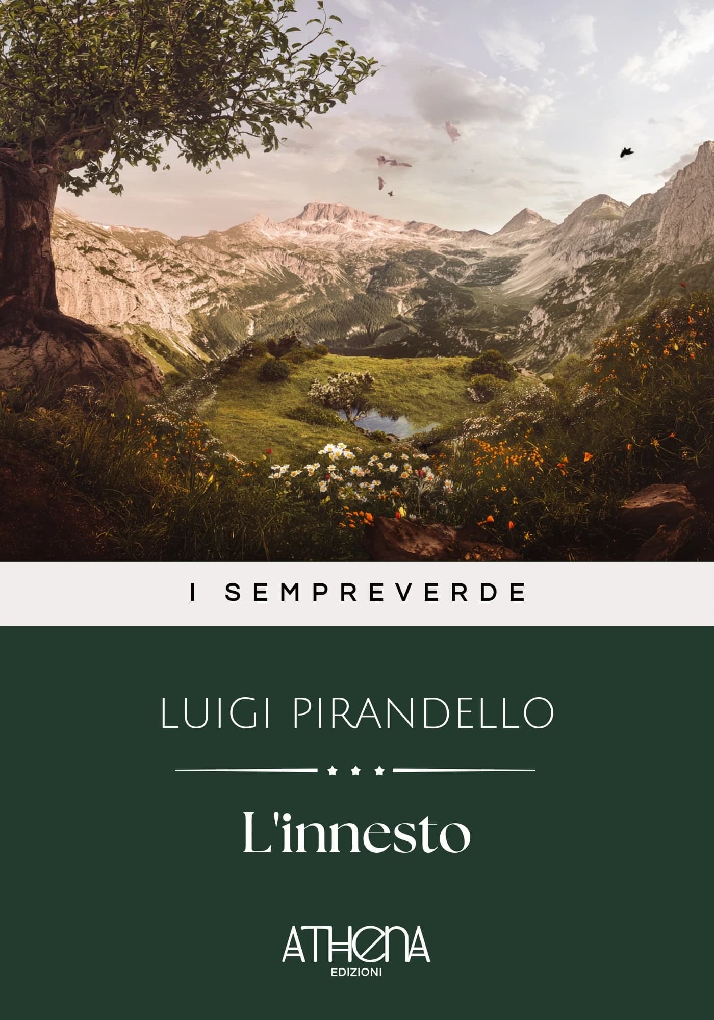 Copertina di L'innesto