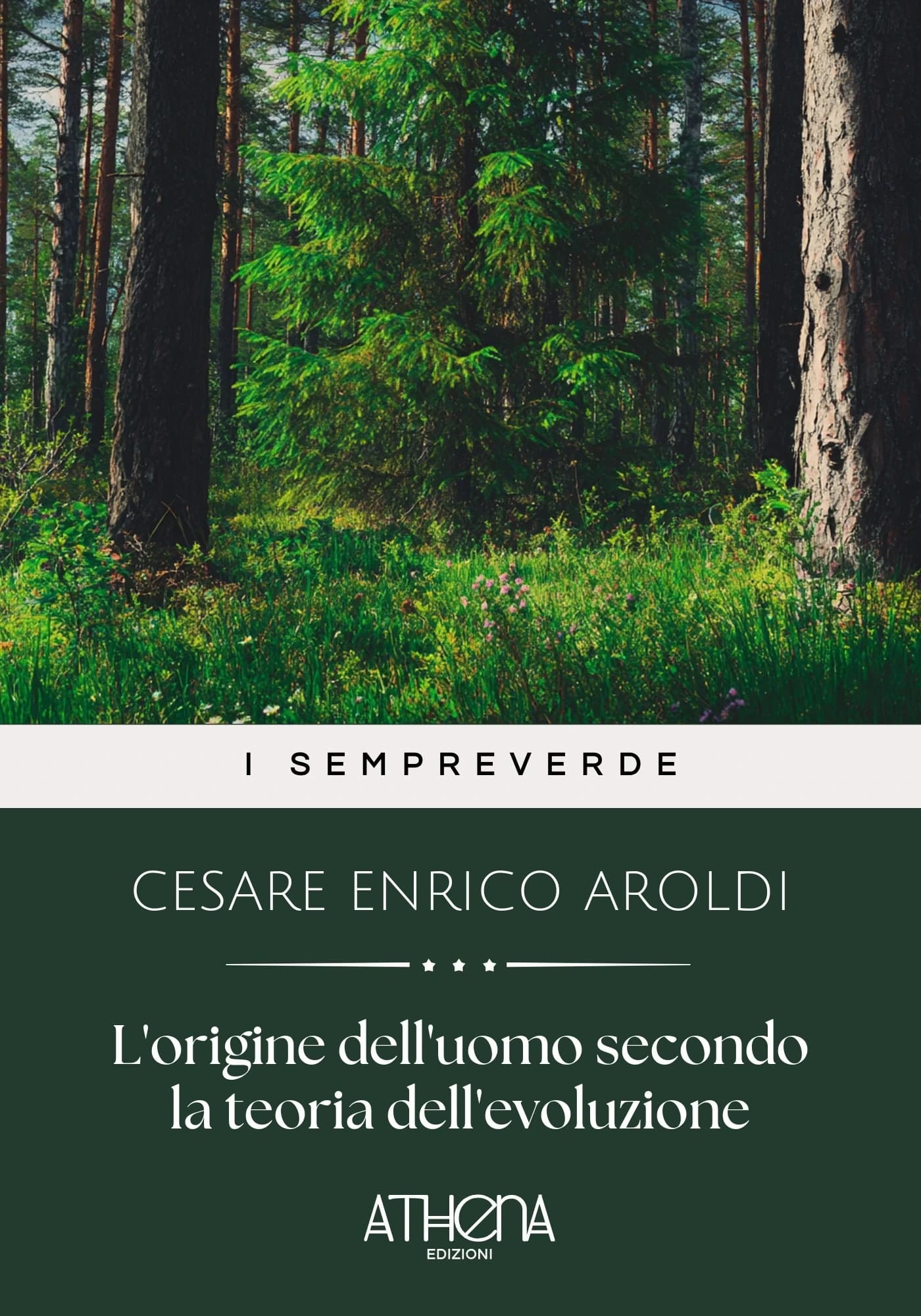 Copertina di L'origine dell'uomo