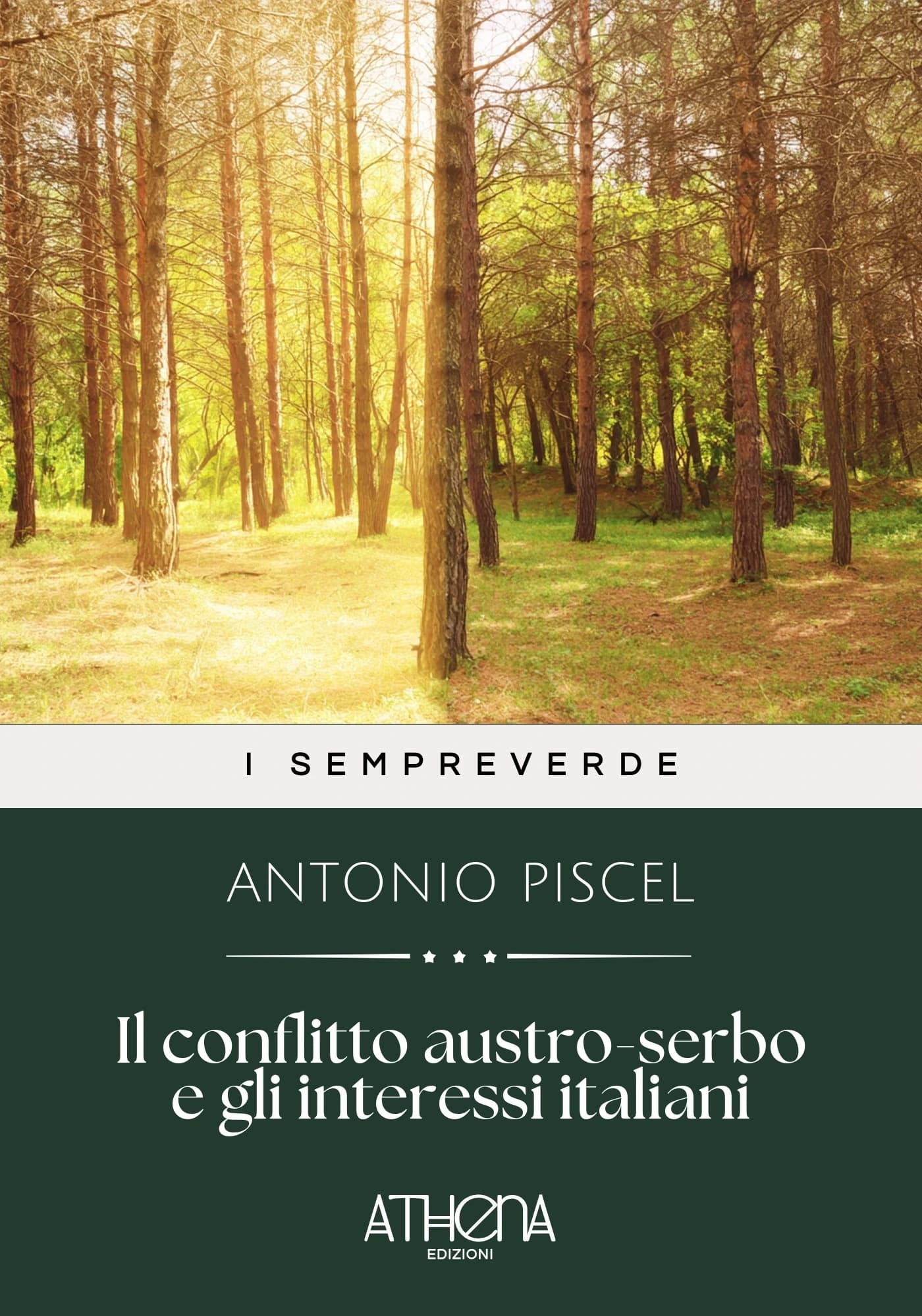 Copertina di Il conflitto austro-