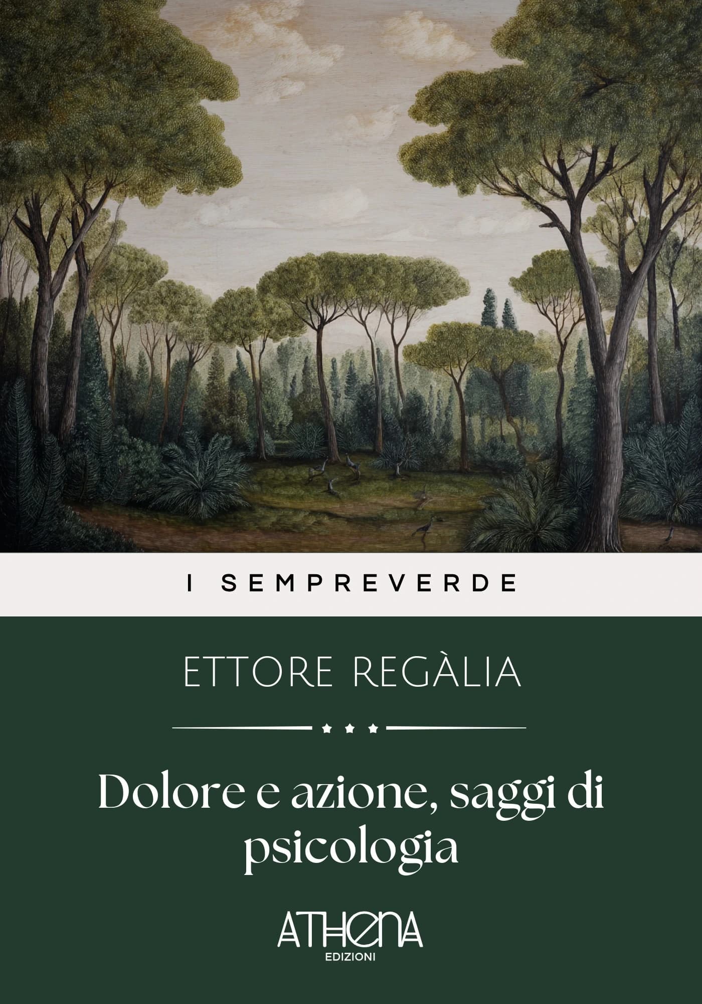 Copertina di Dolore e azione, sag