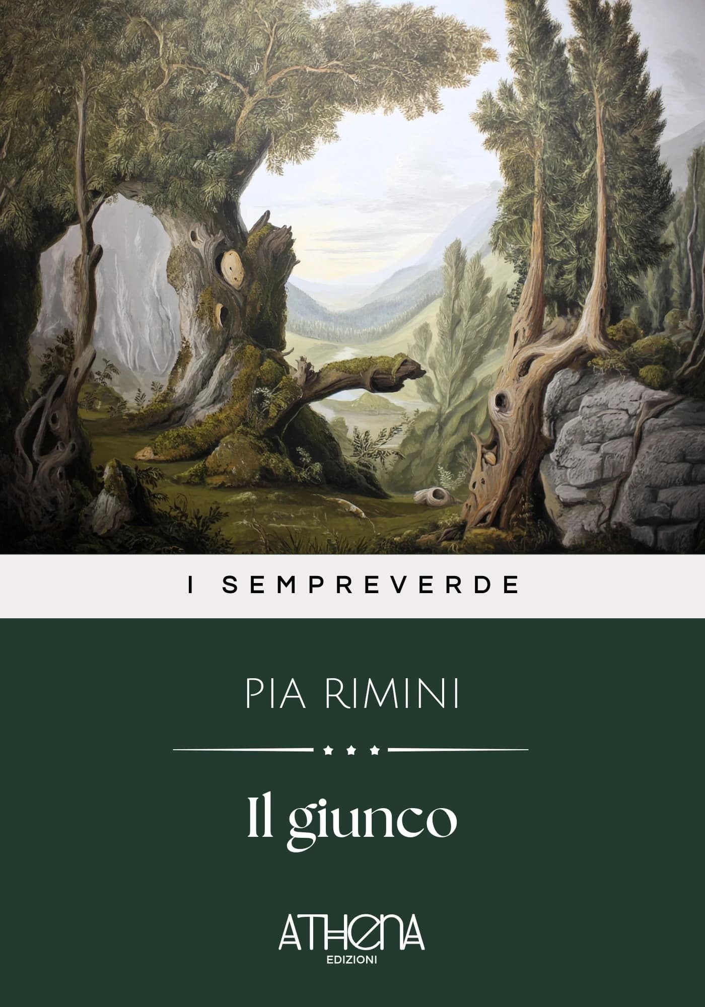 Copertina di Il giunco
