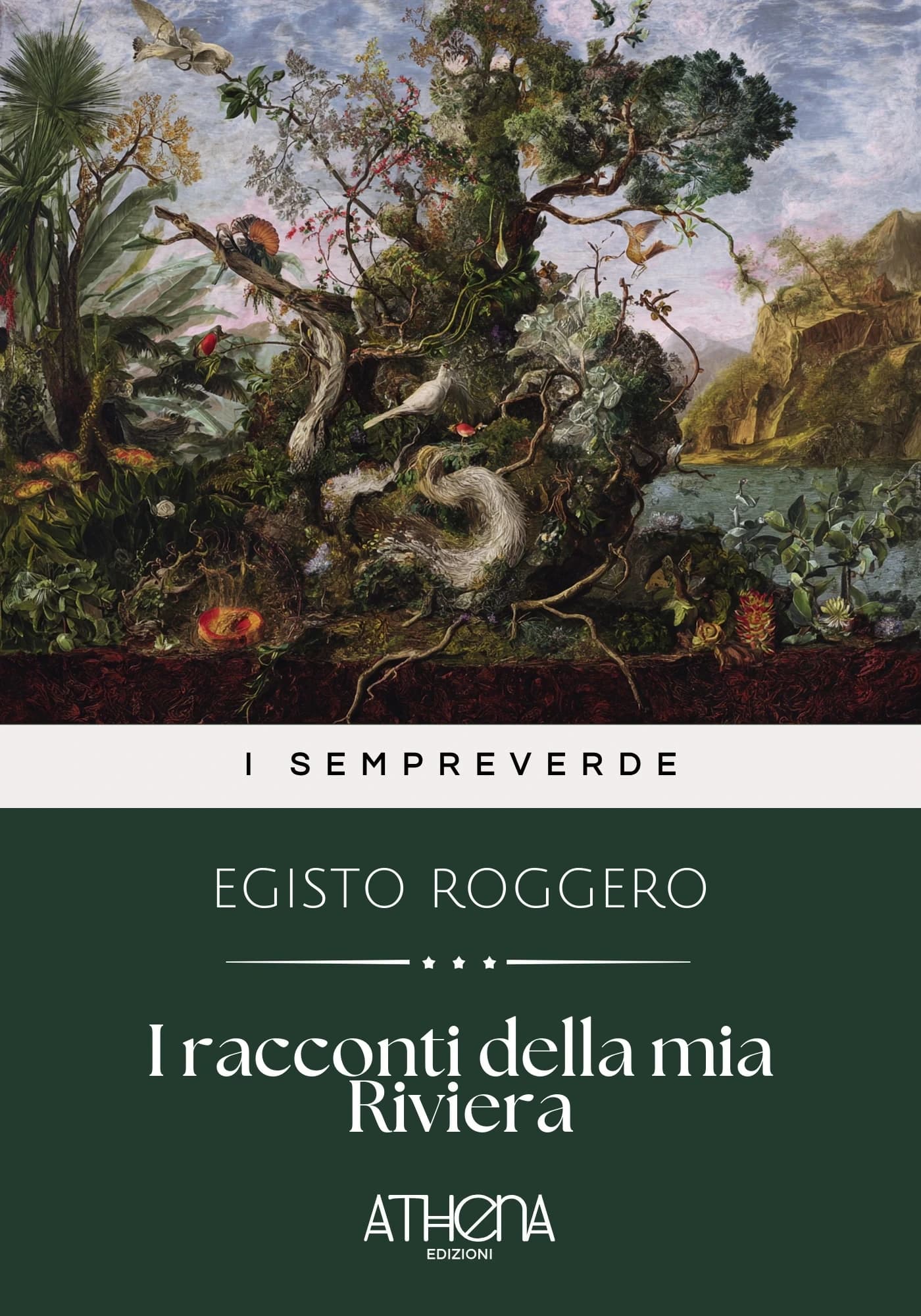 Copertina di I racconti della mia