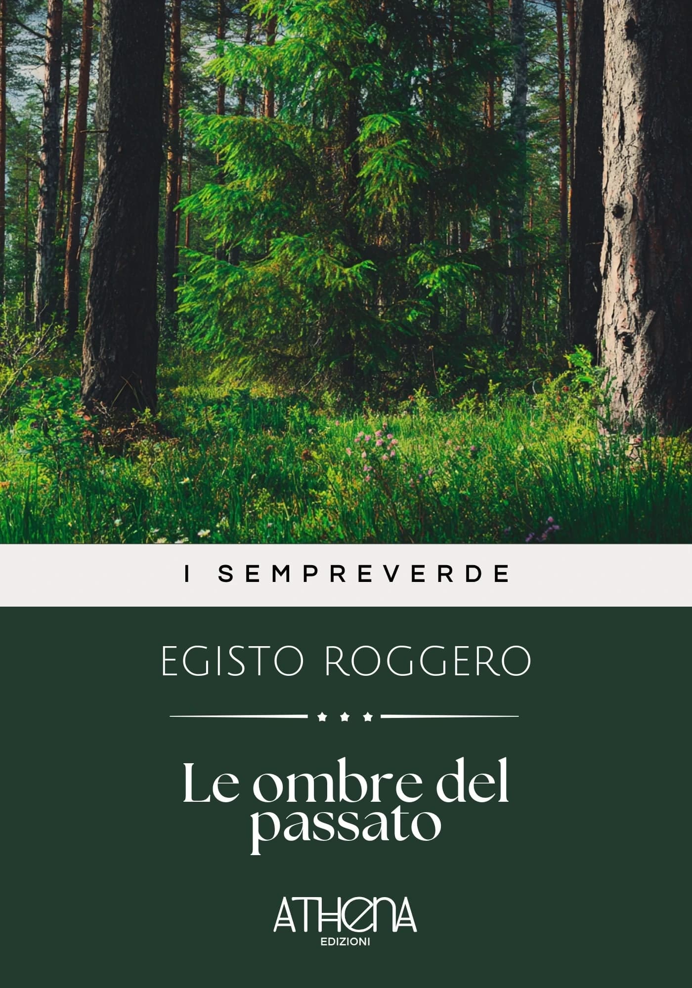 Copertina di Le ombre del passato