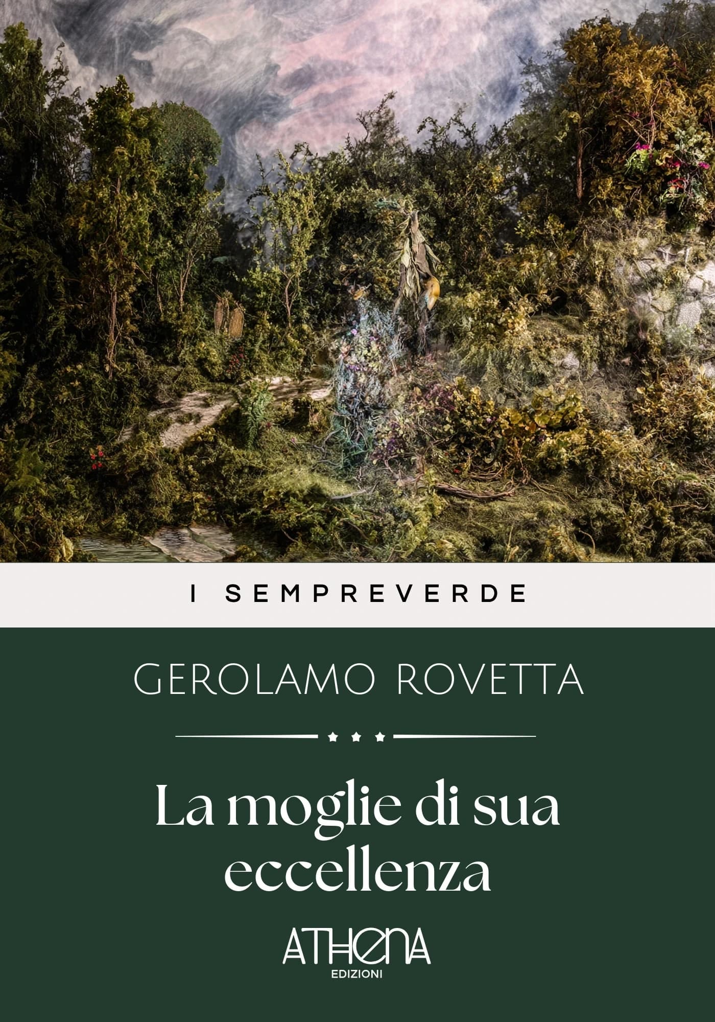 Copertina di La moglie di sua ecc