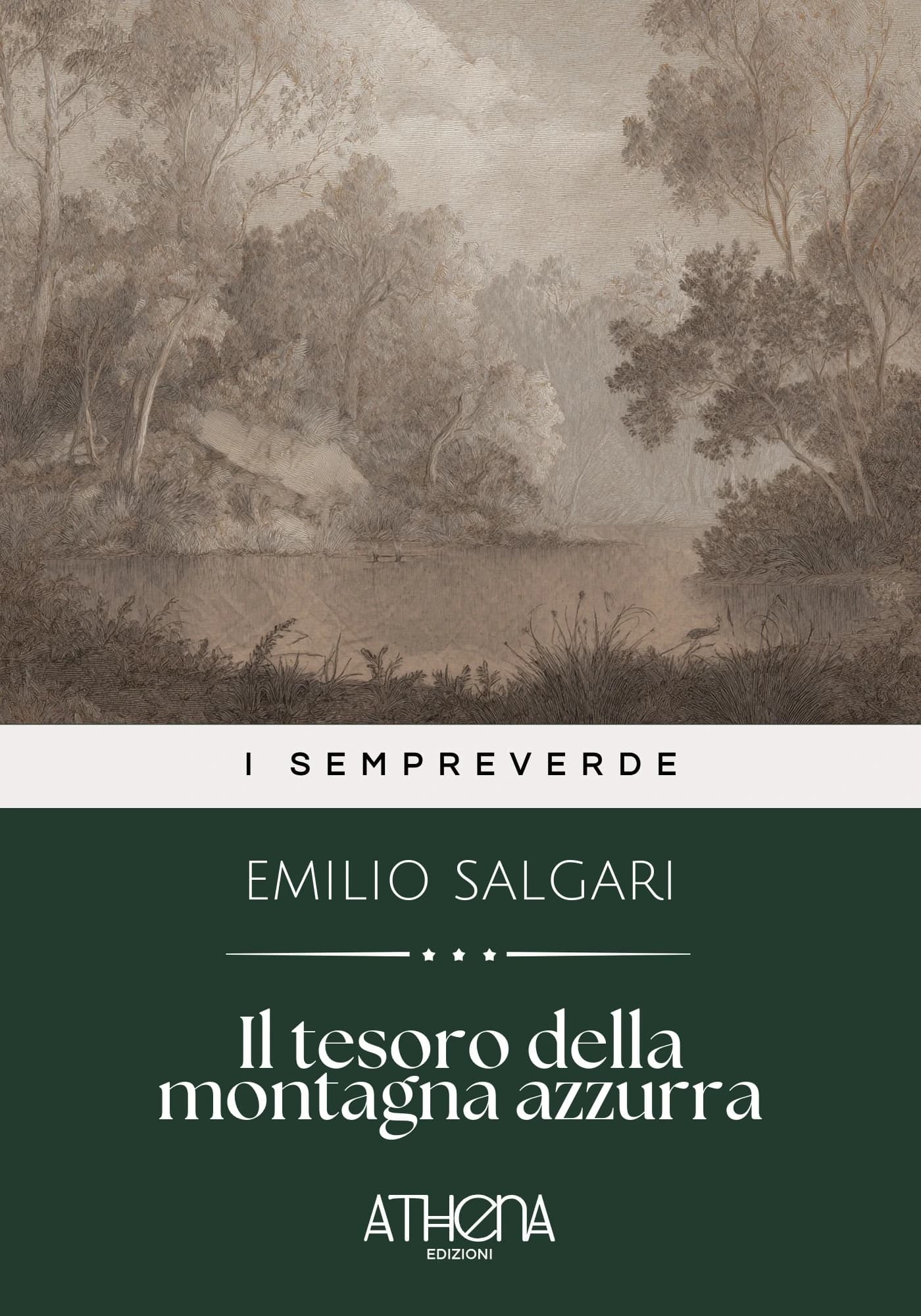 Copertina di Il tesoro della mont