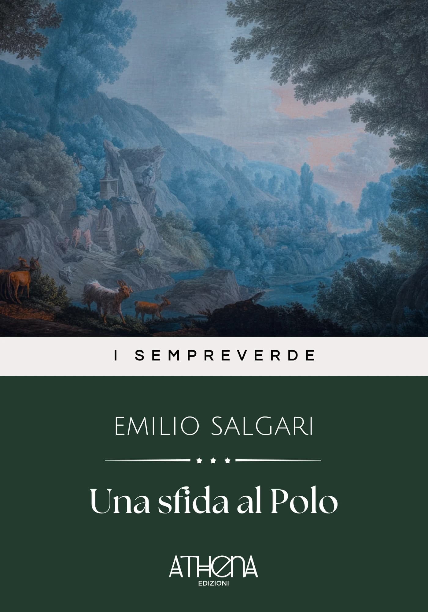 Copertina di Una sfida al Polo