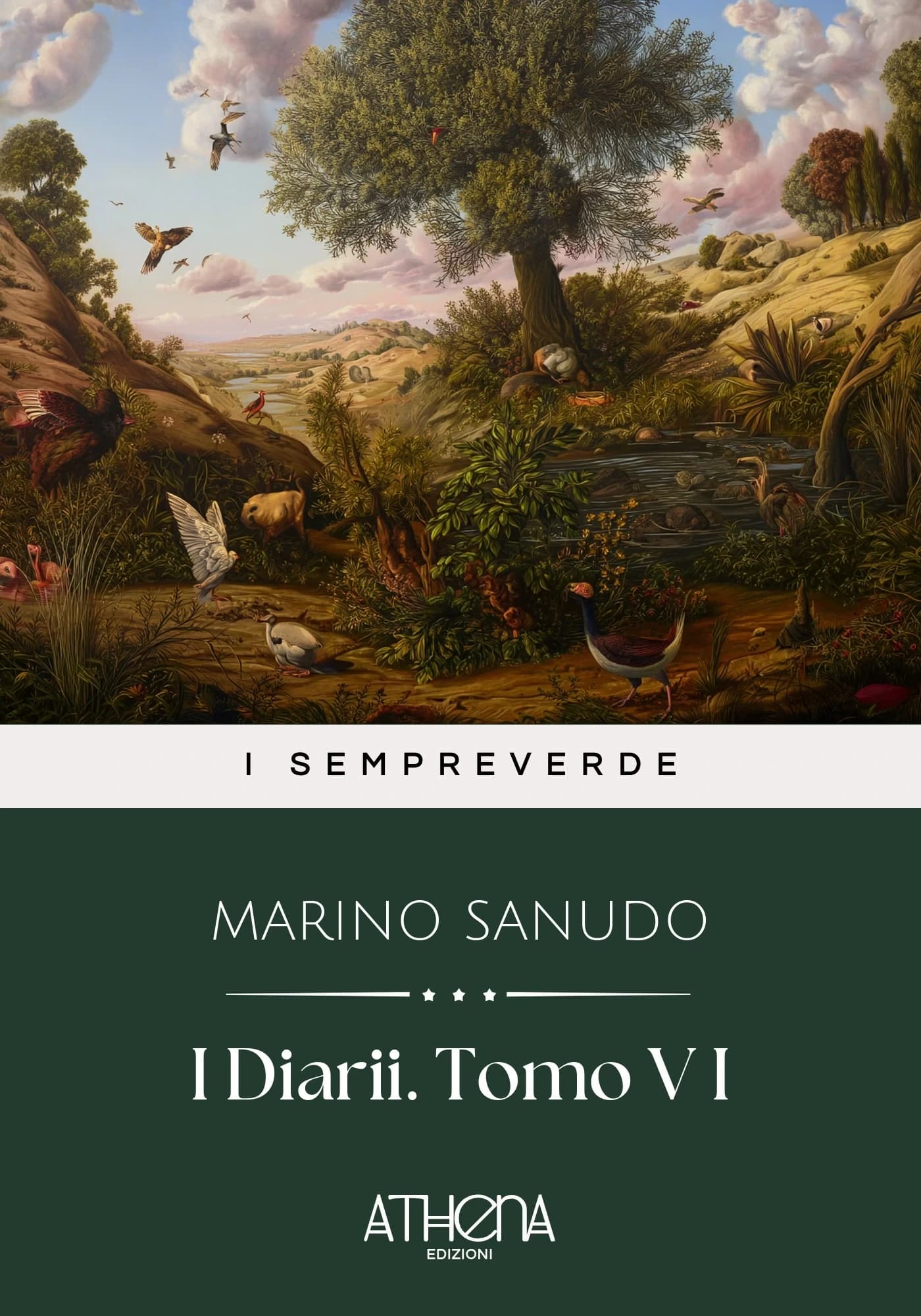 Copertina di I Diarii. Tomo V I