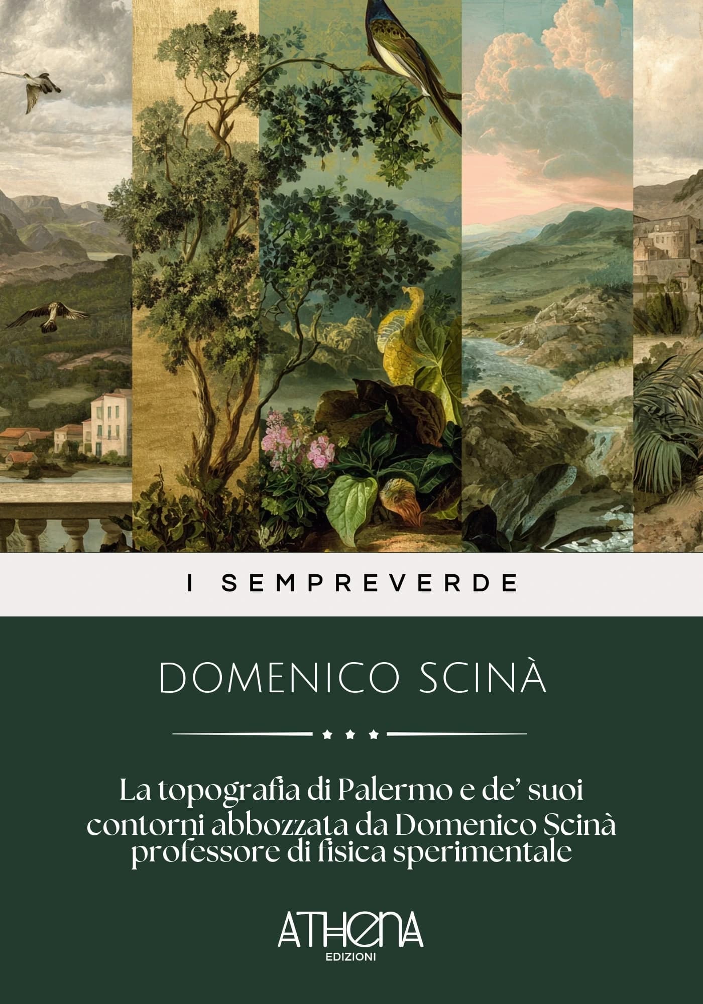 Copertina di La topografia di Pal