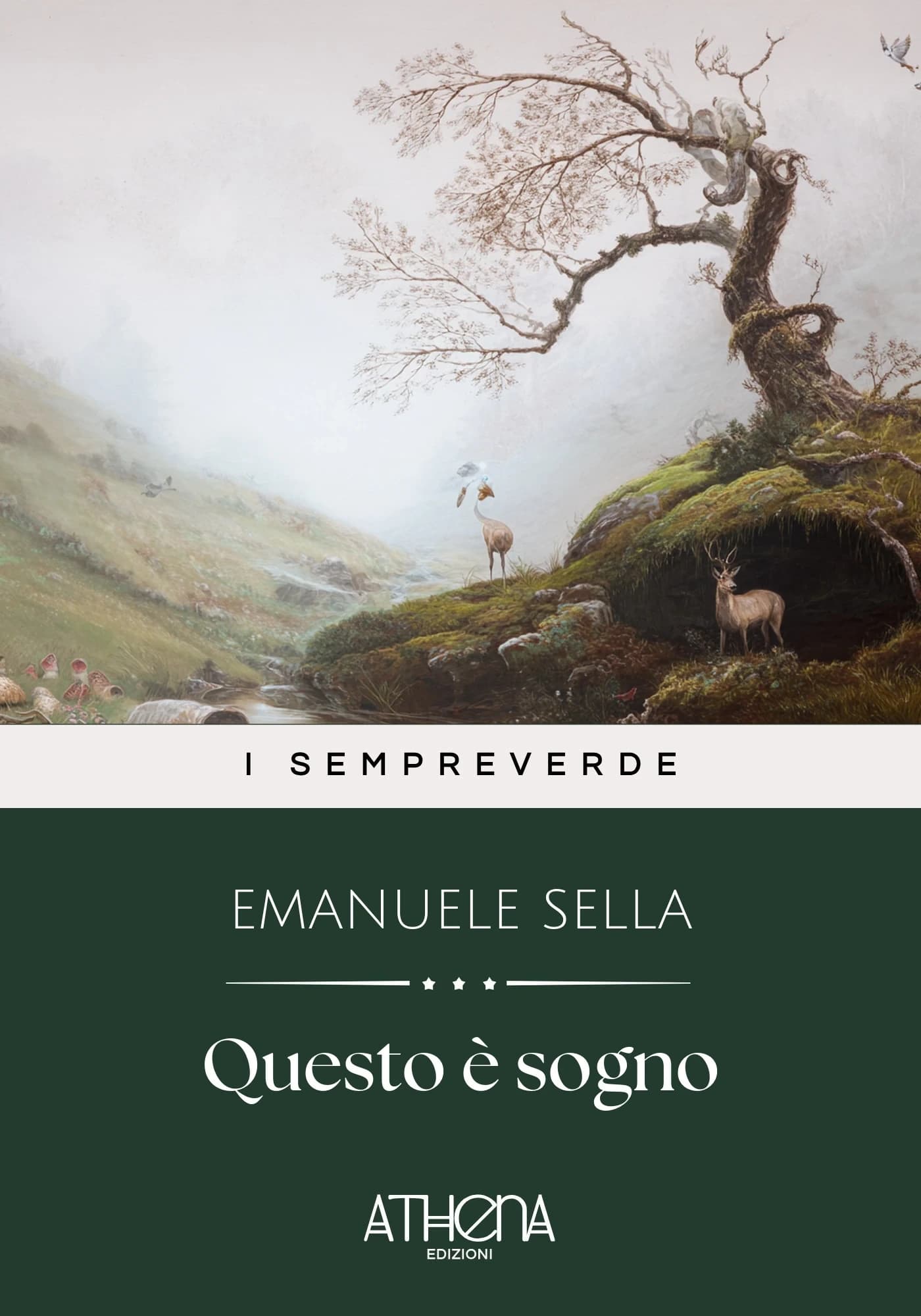 Copertina di Questo è sogno