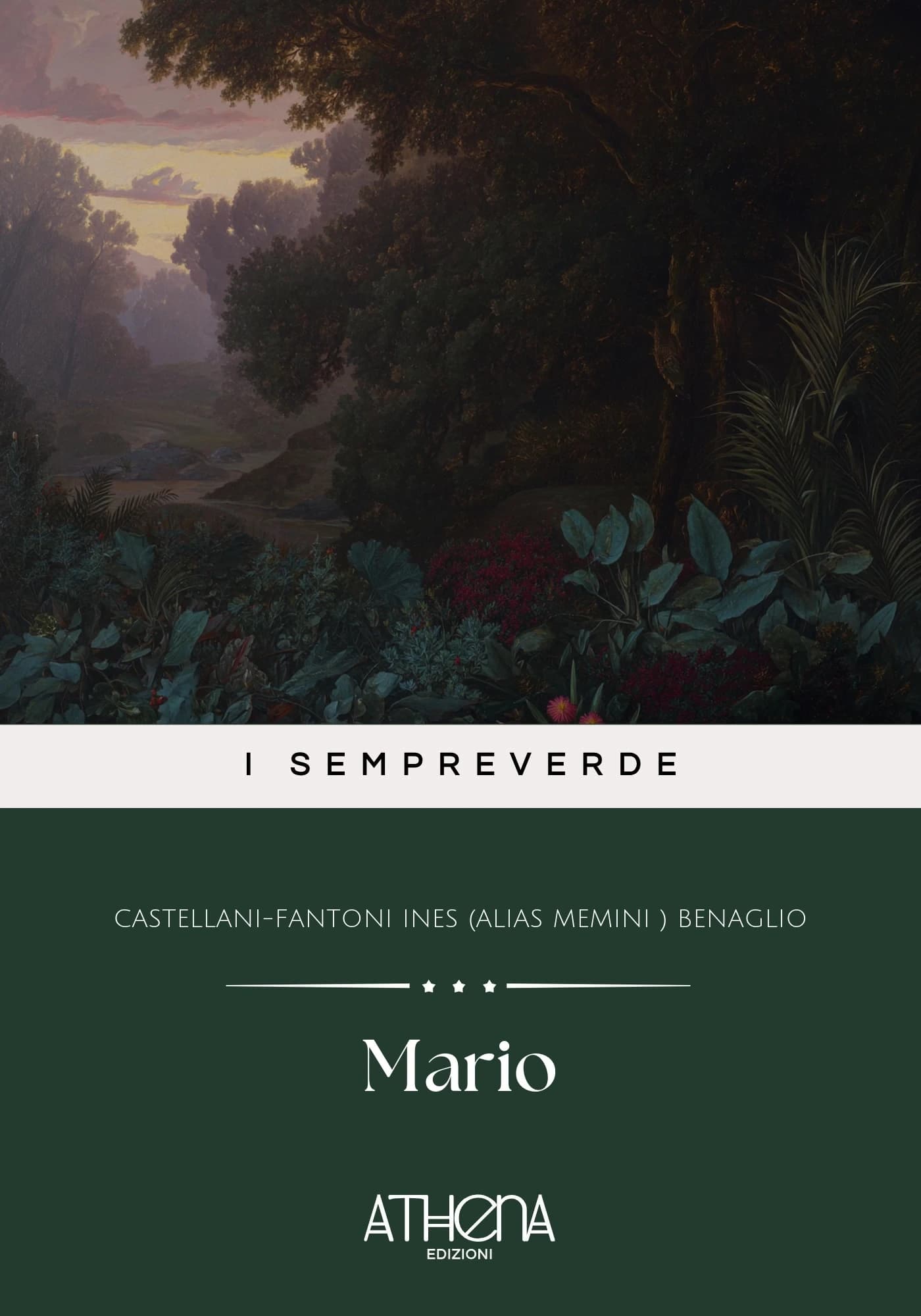 Copertina di Mario