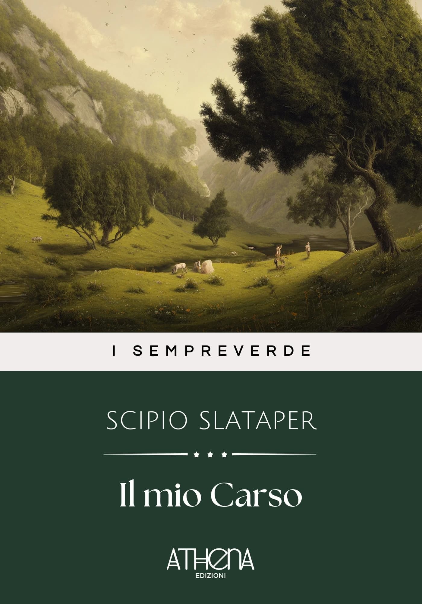 Copertina di Il mio Carso