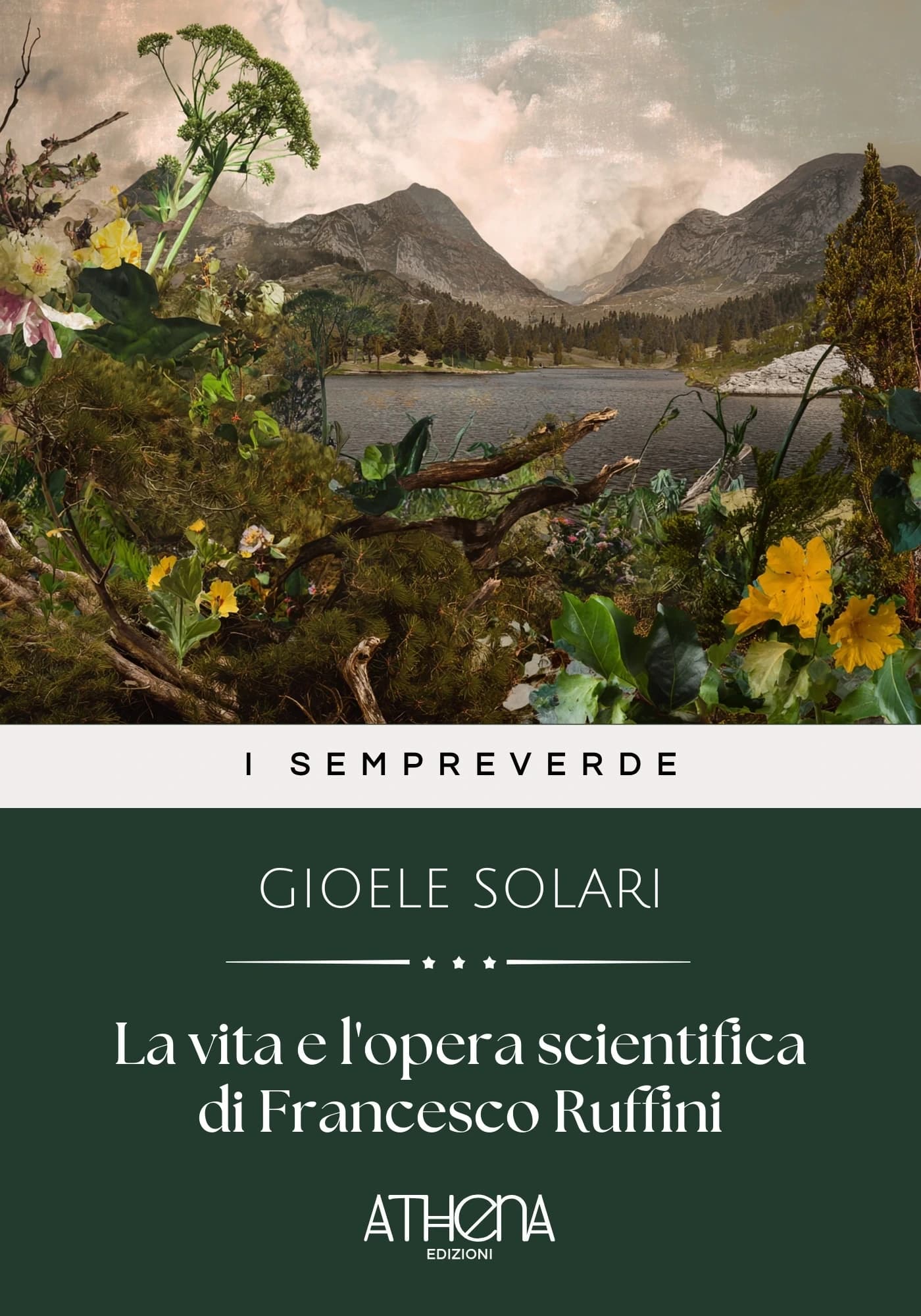 Copertina di La vita e l'opera sc