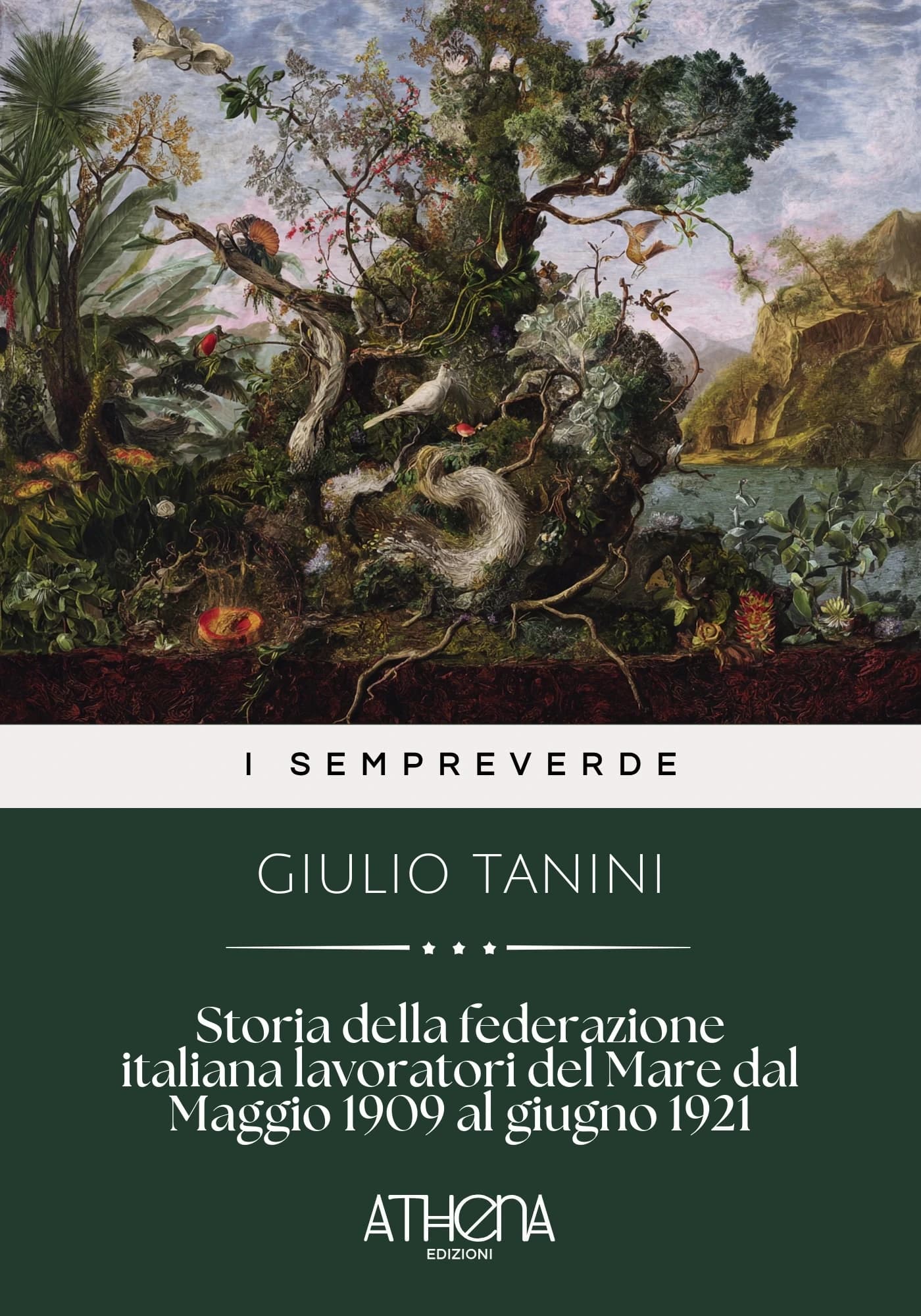 Copertina di Storia della federaz