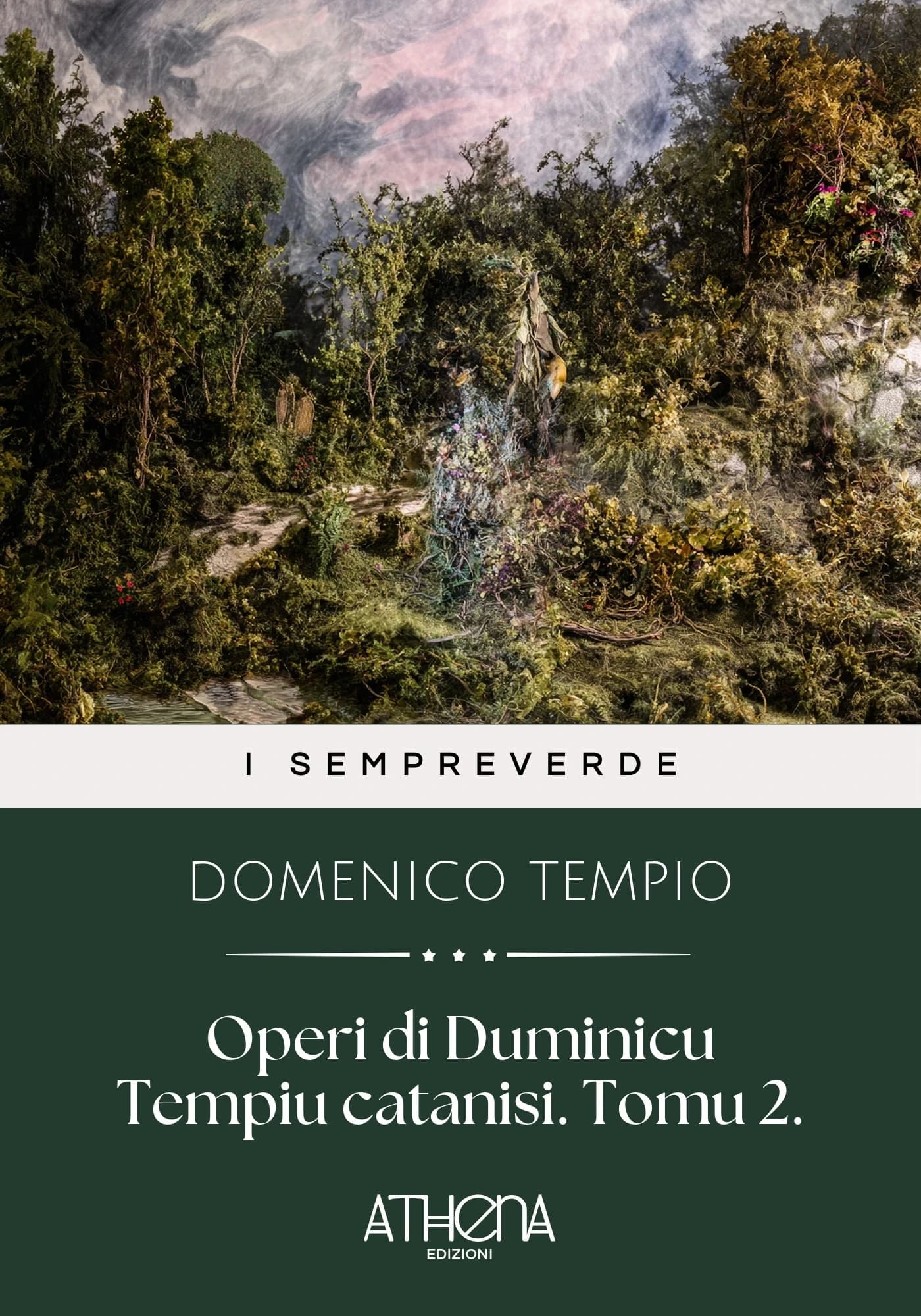 Copertina di Operi di Duminicu Te