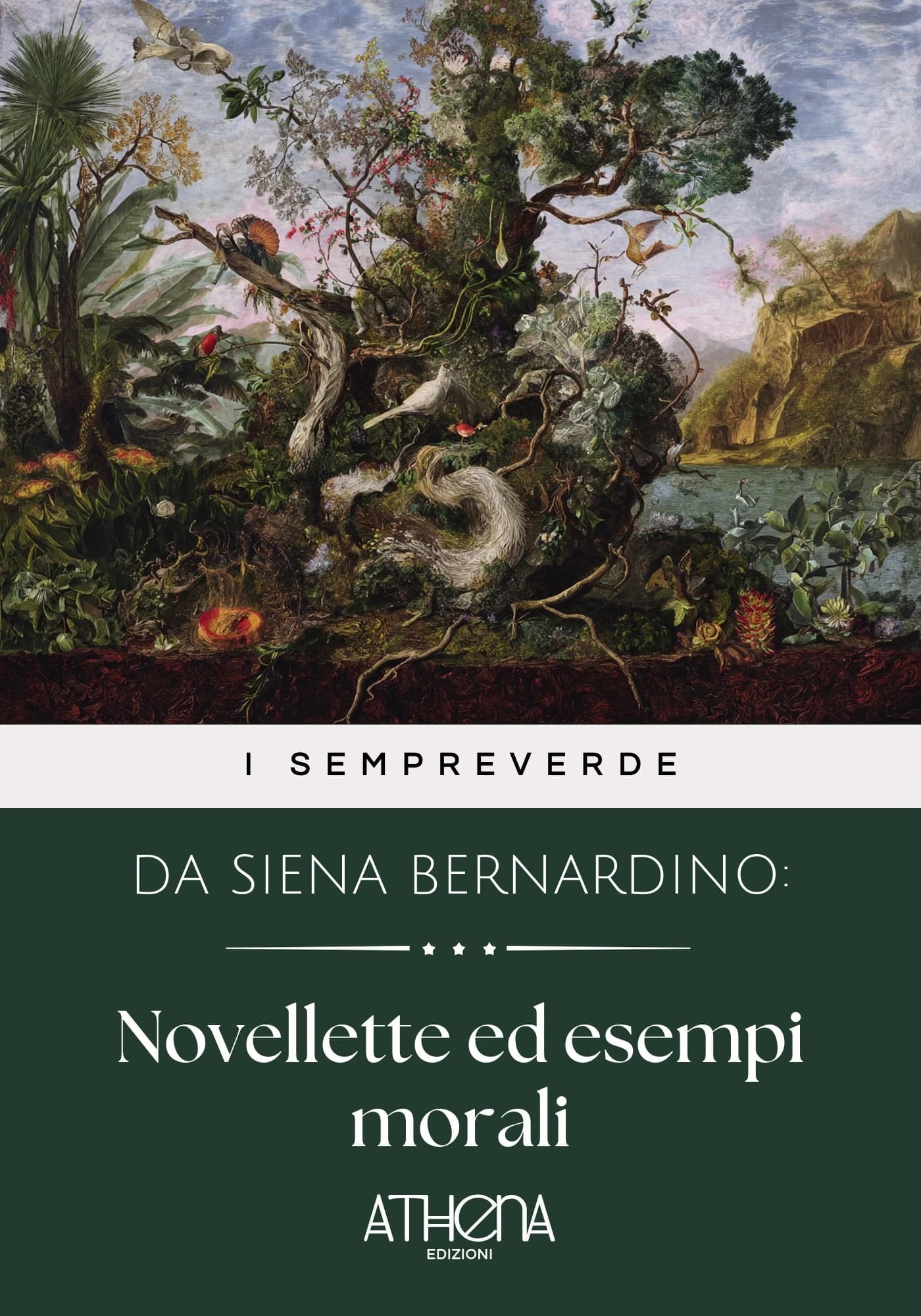 Copertina di da Siena santo: Novellette ed esempi