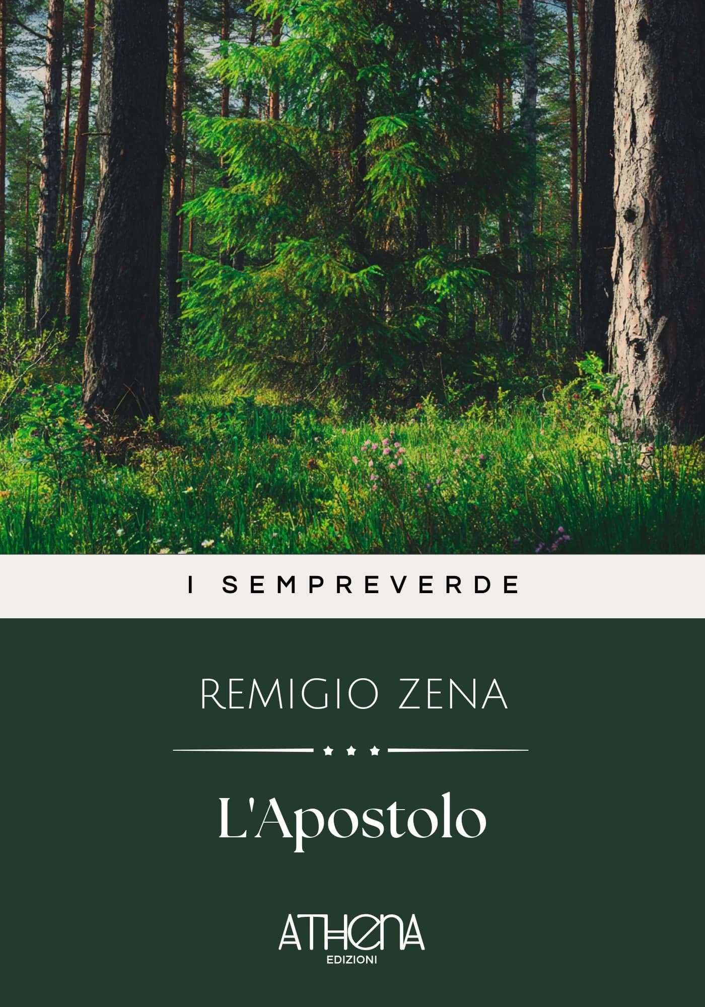 Copertina di L'Apostolo