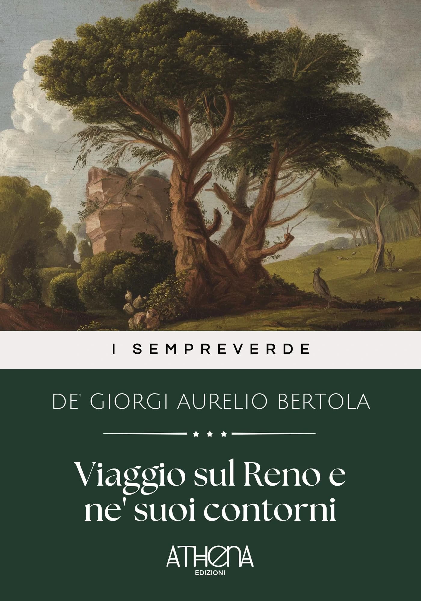 Copertina di Viaggio sul Reno e n