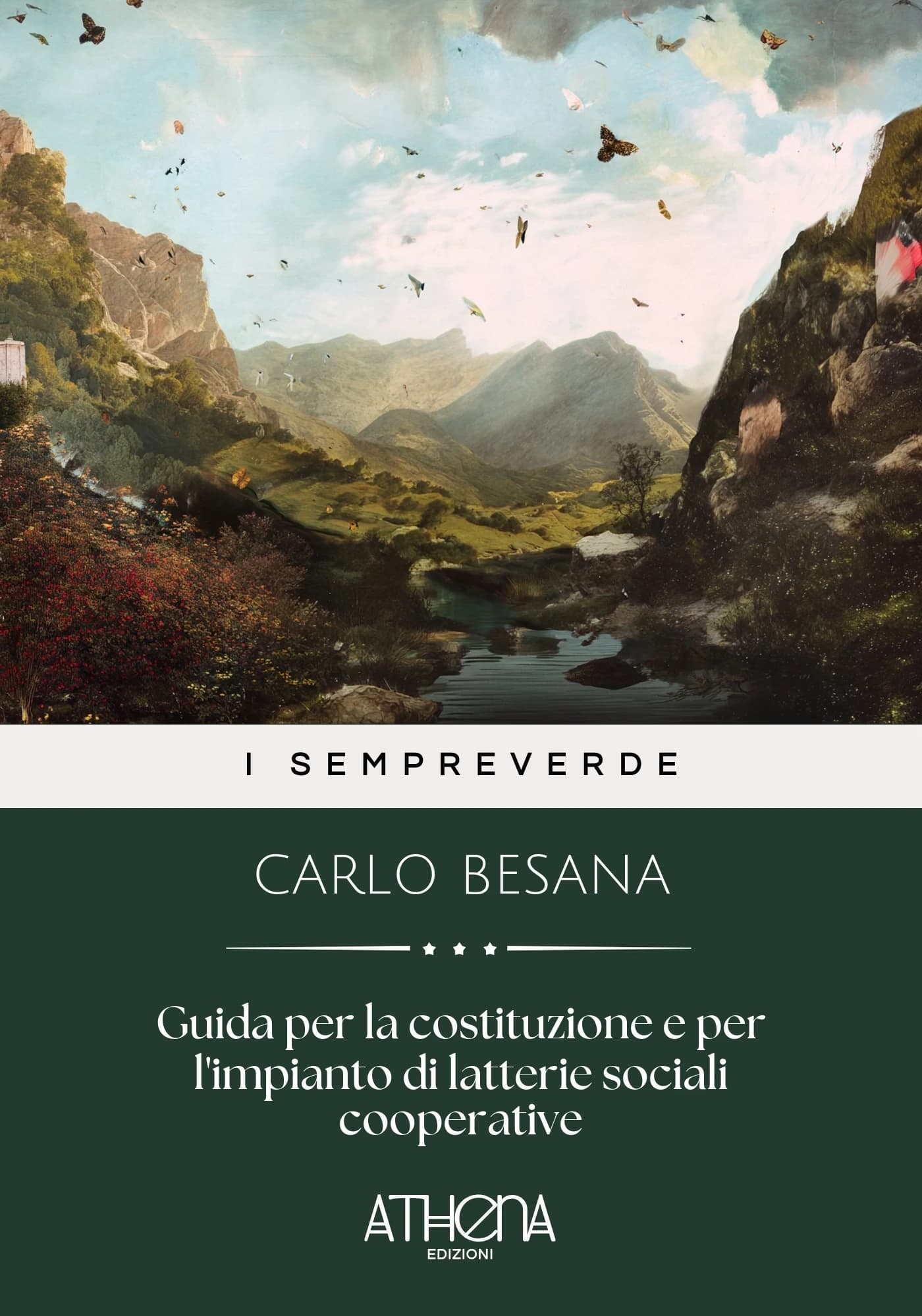 Copertina di Guida per la costitu