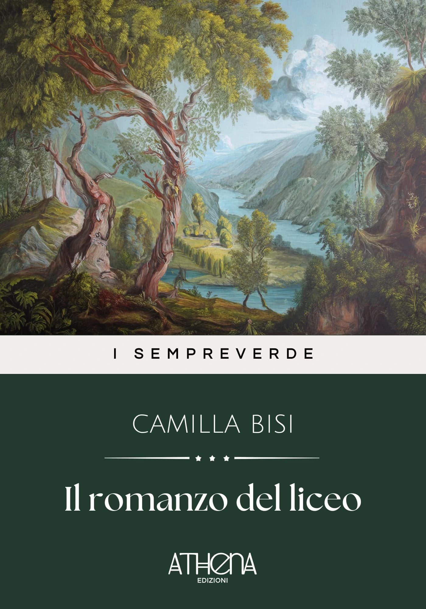 Copertina di Il romanzo del liceo