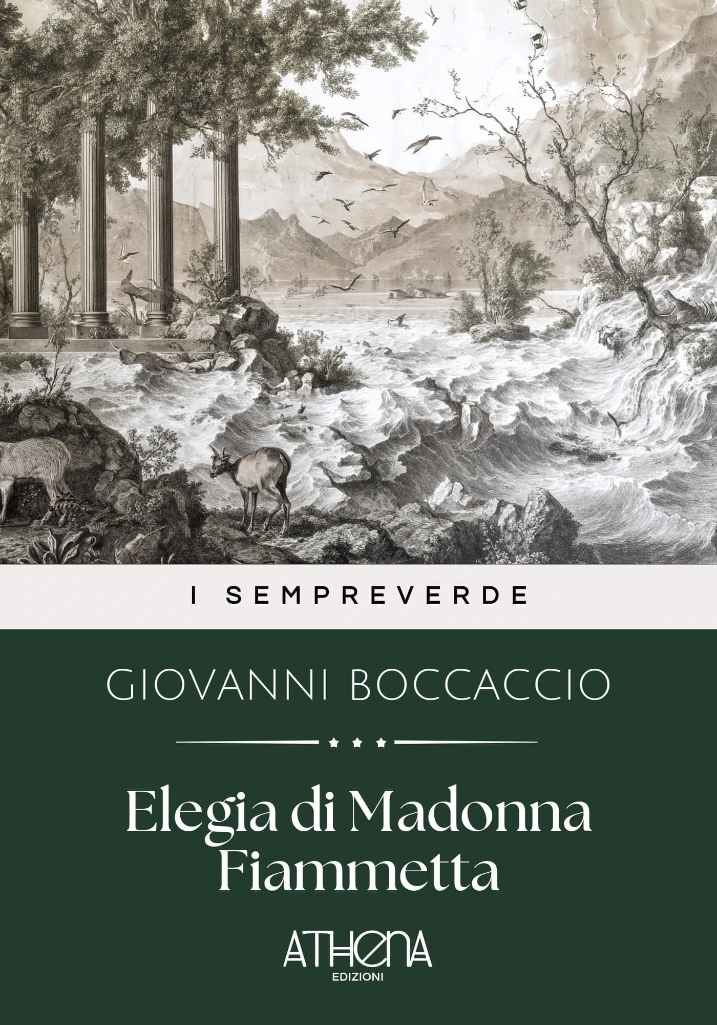 Copertina di Elegia di Madonna Fi