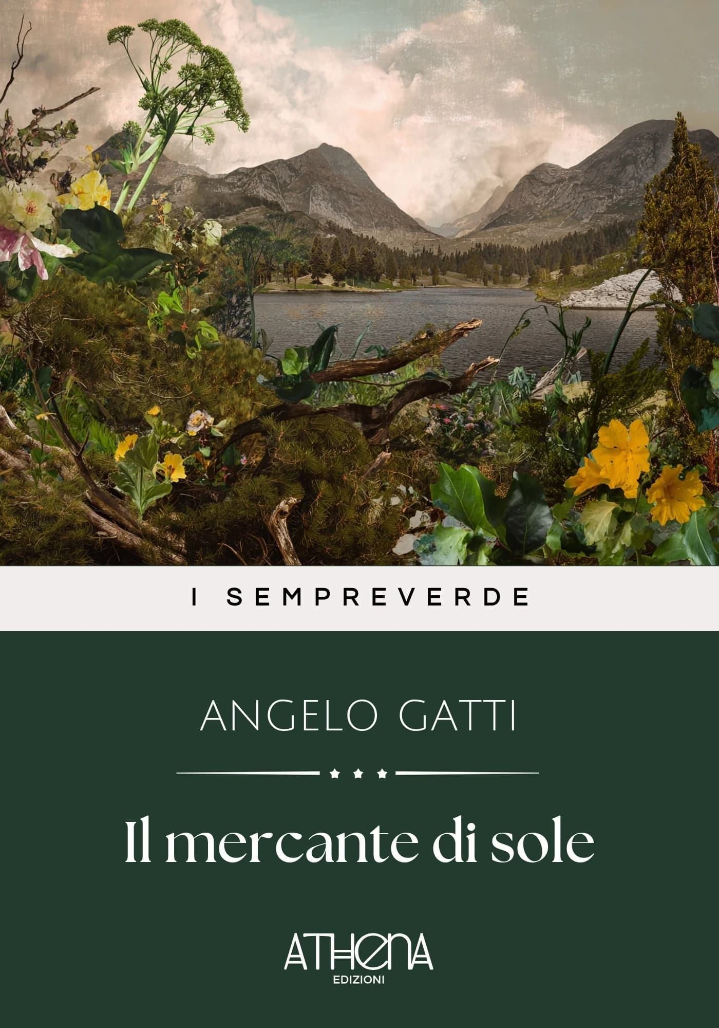 Copertina di Il mercante di sole