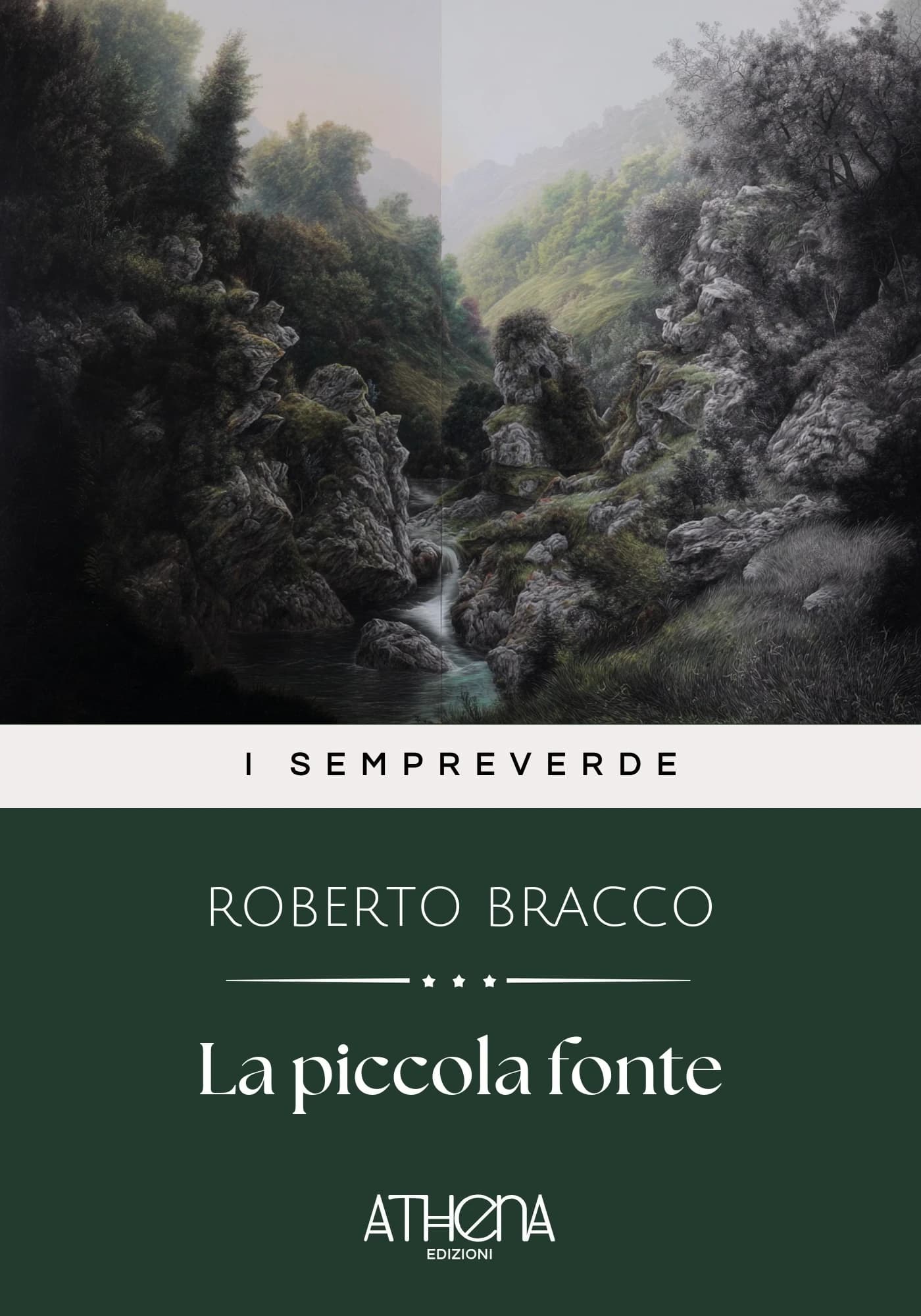 Copertina di La piccola fonte