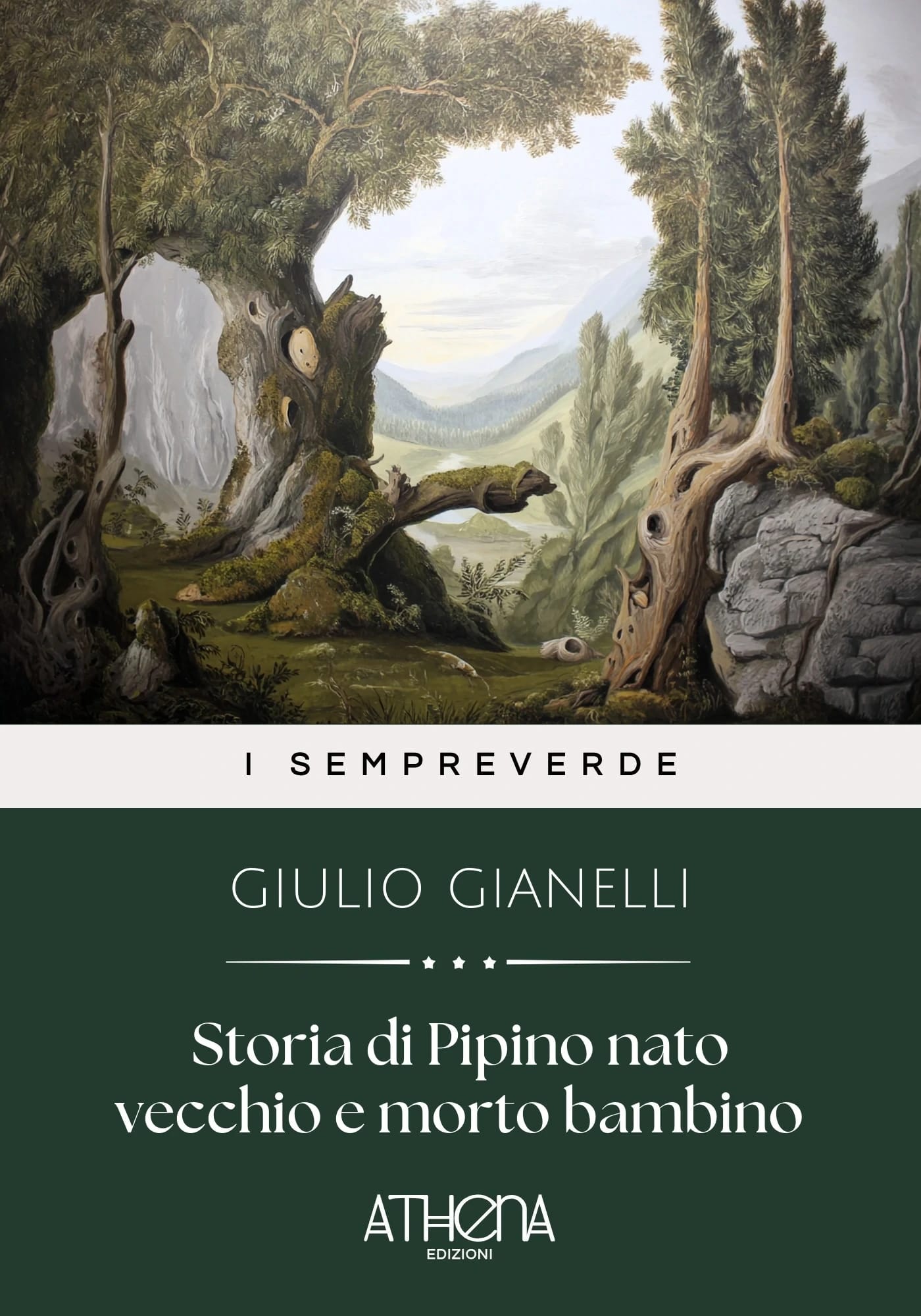 Copertina di Storia di Pipino nat
