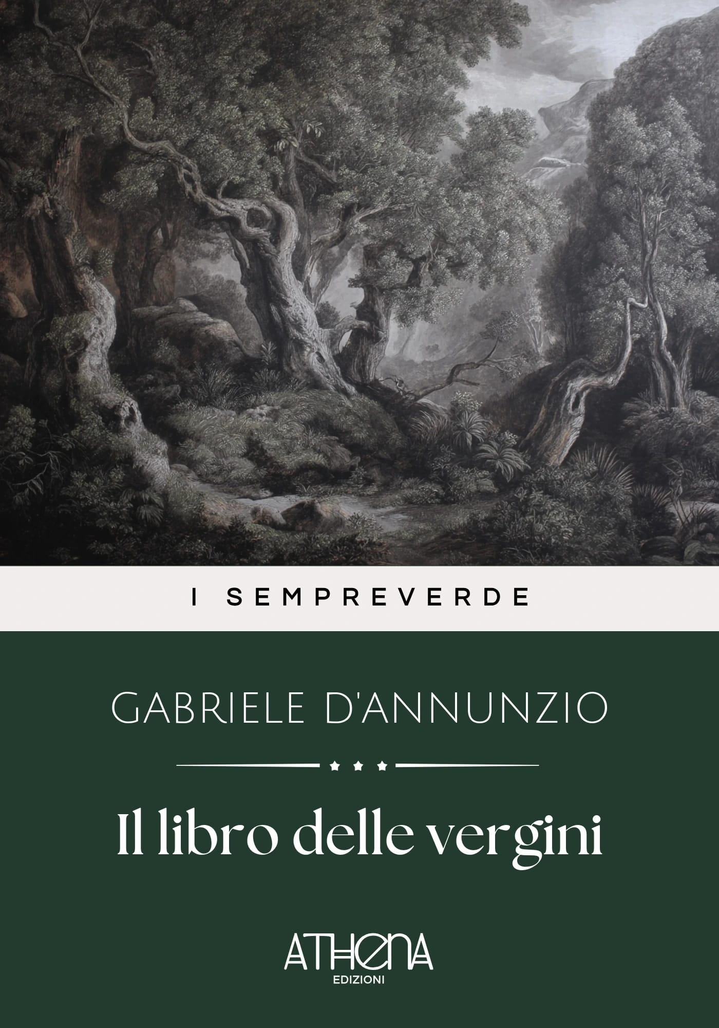 Copertina di Il libro delle vergi