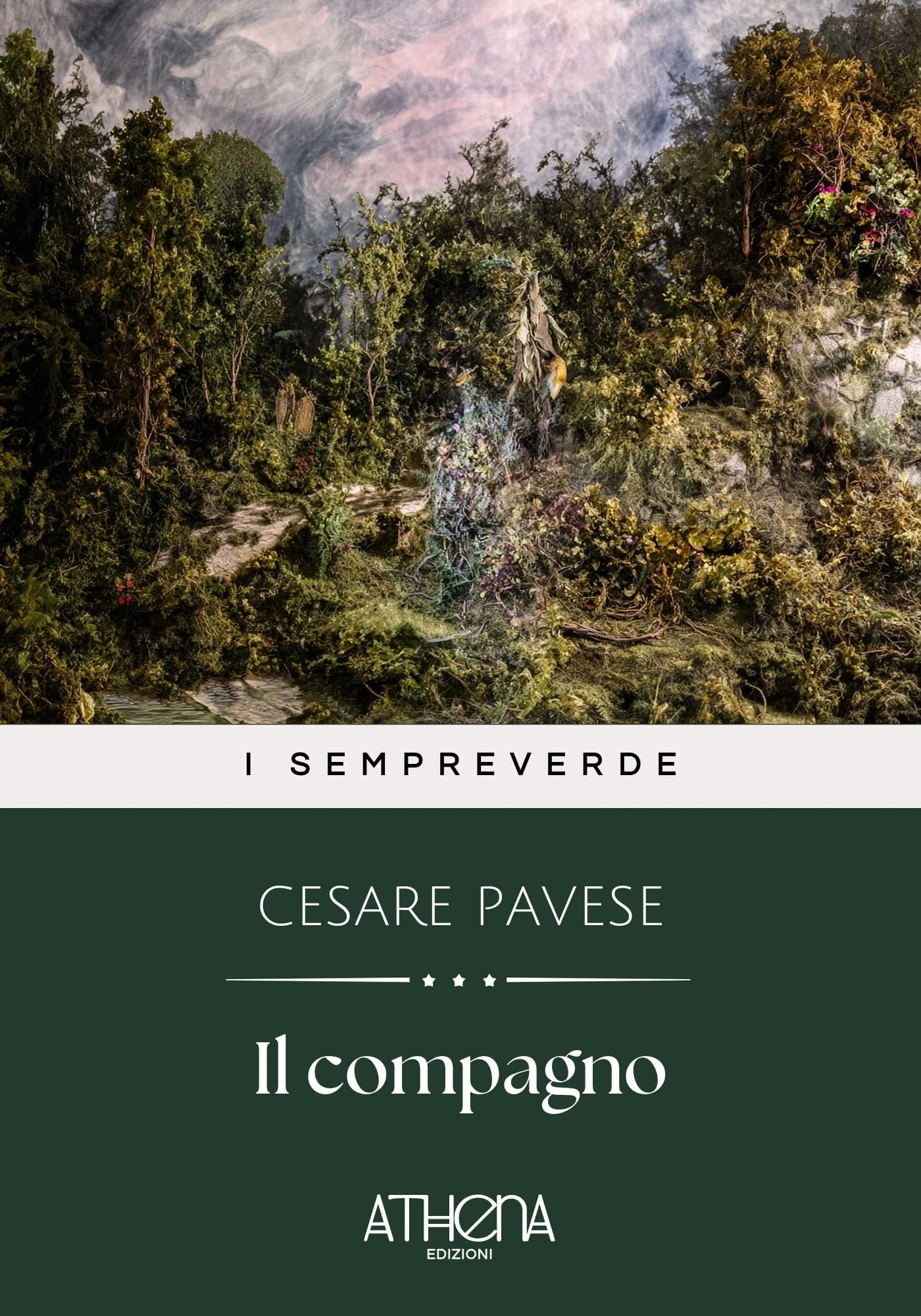 Copertina di Il compagno