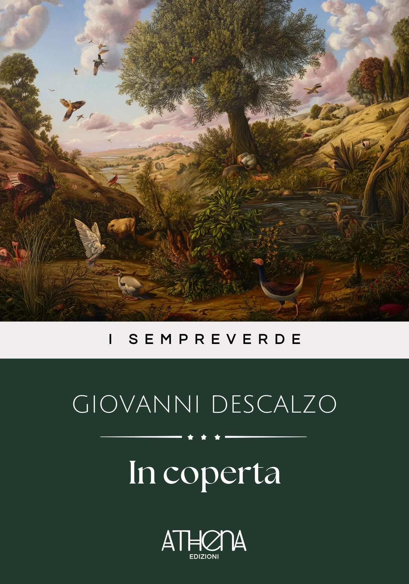 Copertina di In coperta