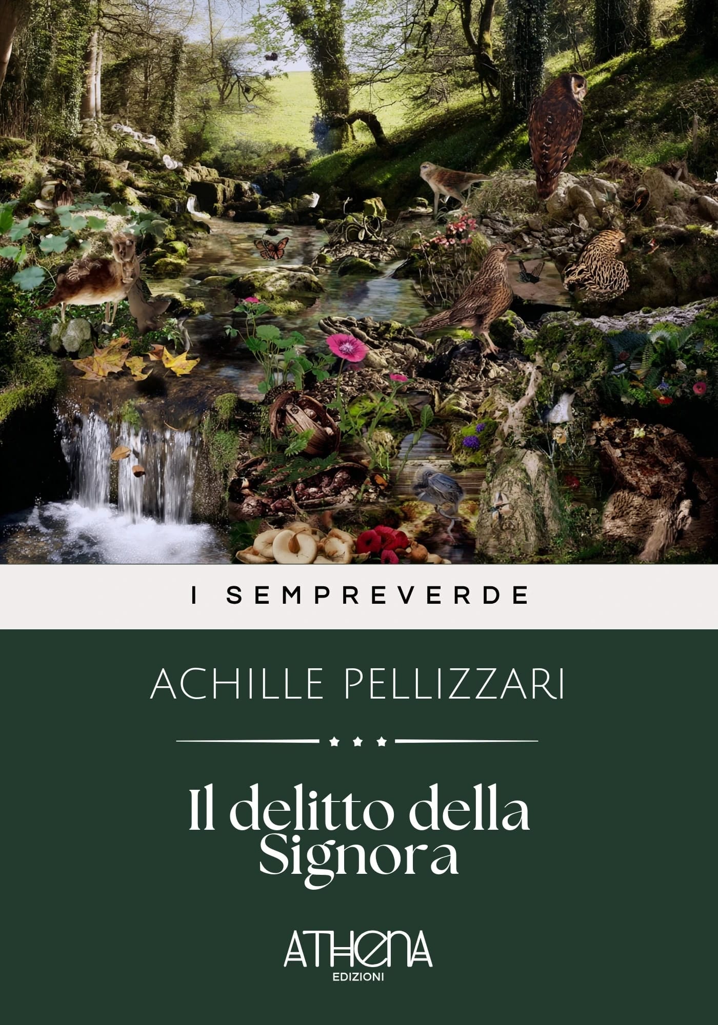 Copertina di Il delitto della Sig