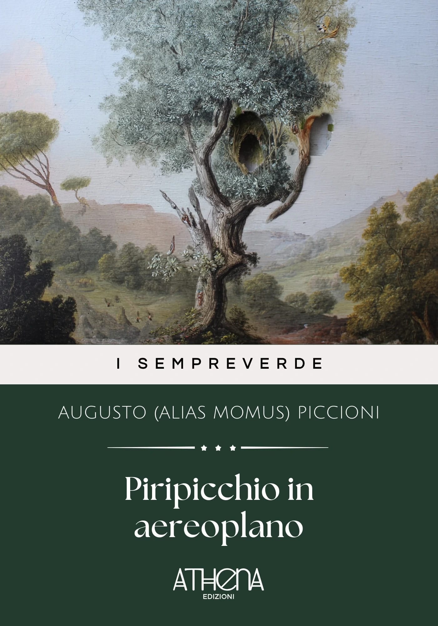 Copertina di Piripicchio in aereo