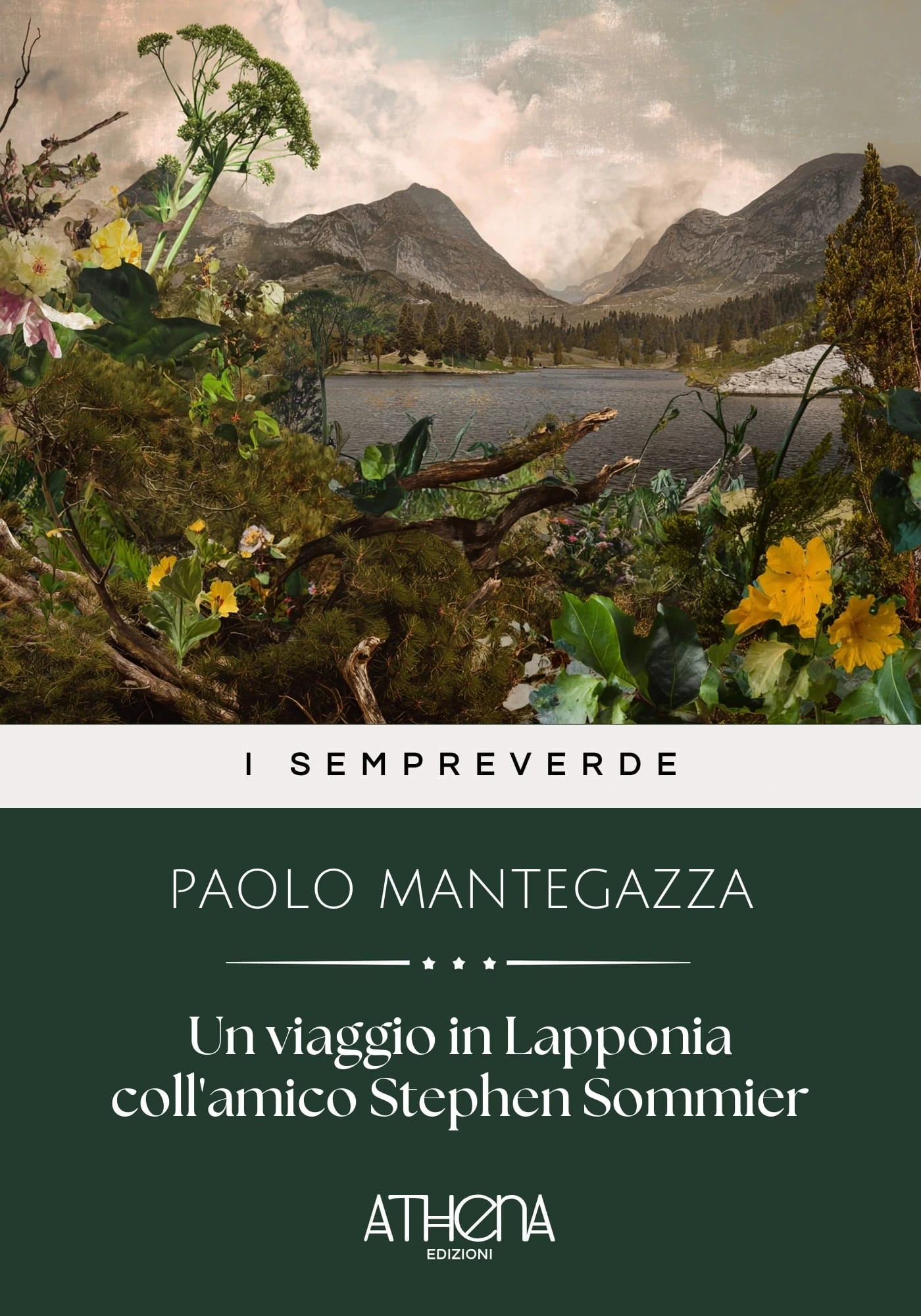Copertina di Un viaggio in Lappon