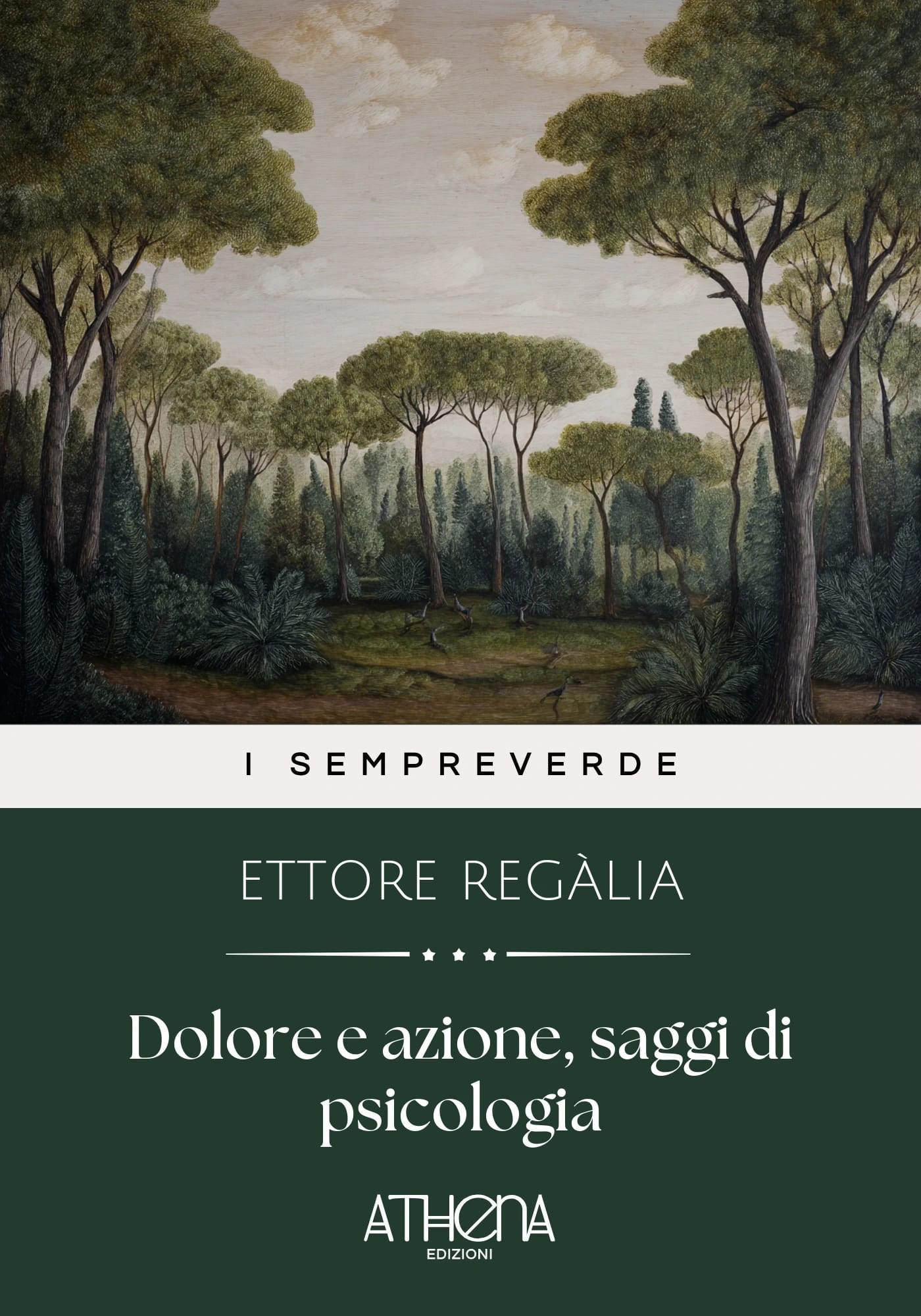 Copertina di Dolore e azione, sag